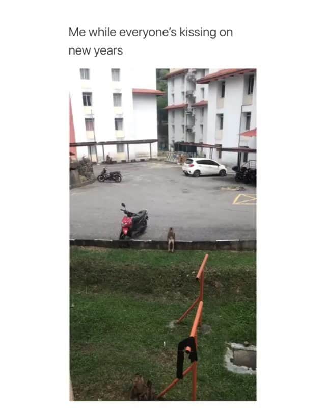Funny Postsのインスタグラム：「••••••••••• 😂 Me, trying to find a New Years resolution that I won't fail within 2 days 💬 Video by: @nrlumairahh 🎥 Double tap for more videos!」