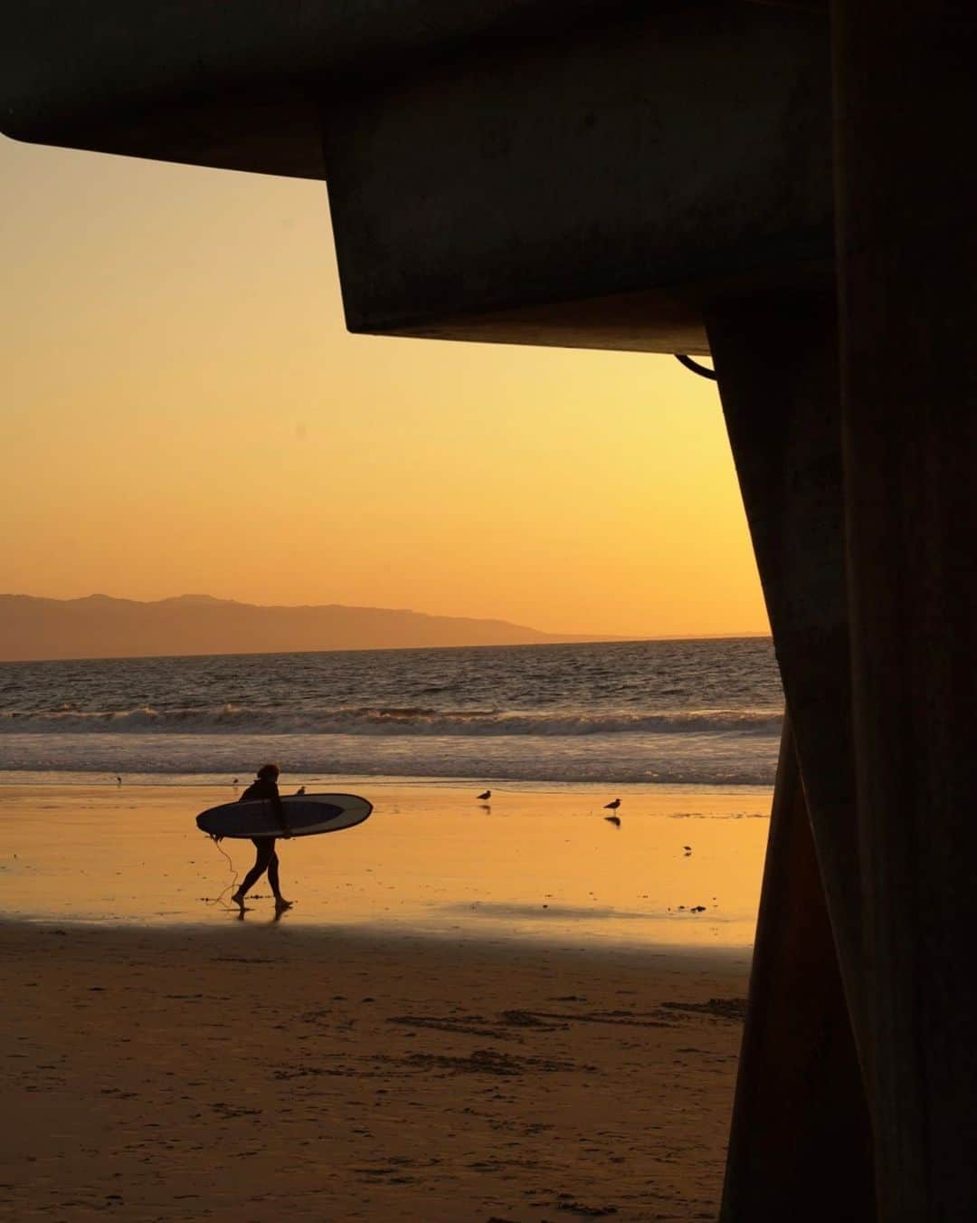 NICKY GILEのインスタグラム：「Venice Sunsets」