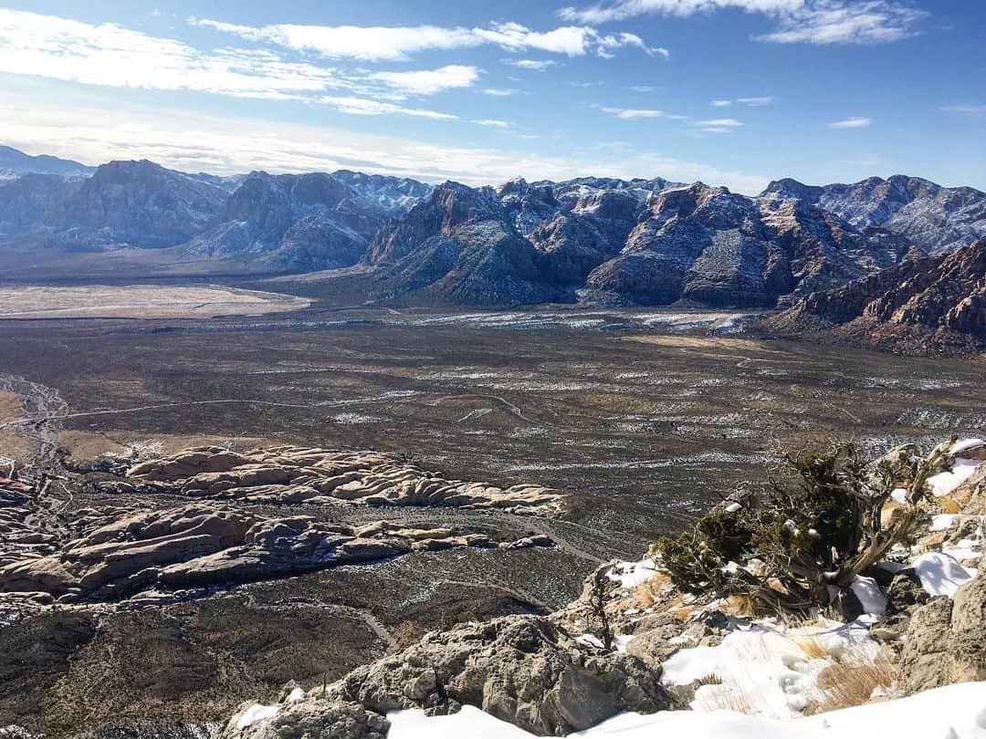 アレックス・オノルドのインスタグラム：「Happy 2020 from a fairly snowy Red Rock! I went for a fun little bike and hike a few days ago - road from my house up to the canyons and hiked up Turtlehead. Everyone talks about climbing being dangerous but I think cycling on the streets of Vegas is worse... Here’s to an adventurous (and hopefully safe) new year.」