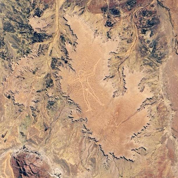 CNNさんのインスタグラム写真 - (CNNInstagram)「A new image from NASA shows efforts to preserve Marree Man, an Australian carving that has puzzled scientists for decades. A pilot discovered the mysterious 2.6-mile-long geoglyph of an aboriginal hunter in 1998, etched into the earth, and to this day no one knows how it got there. (📸: Lauren Dauphin/NASA Earth Observatory)」1月2日 17時00分 - cnn