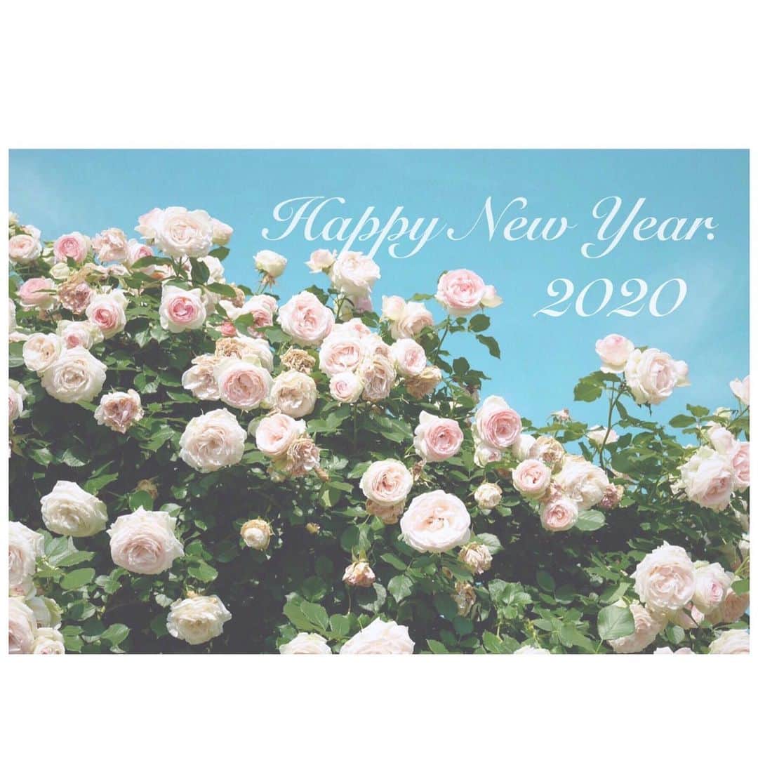 瀬戸山知花のインスタグラム：「ㅤ 明けましておめでとうございます。 今年も健やかに、穏やかに、朗らかに 一日一日を丁寧に重ねて行けますように☺️ ㅤ Instagramも今年こそは投稿頑張ります。。。！ 日常のことがメインになるとは思いますが、 ゆるりと、お付き合いください ☺︎ ( お仕事関連の告知や報告はストーリーにて ) ㅤ 本年もよろしくお願いします ♥︎ ㅤ #2020 #🌹」