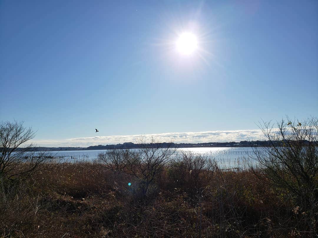 のインスタグラム：「#印旛沼 #mindfullness #inbanuma #chiba #japan🇯🇵」