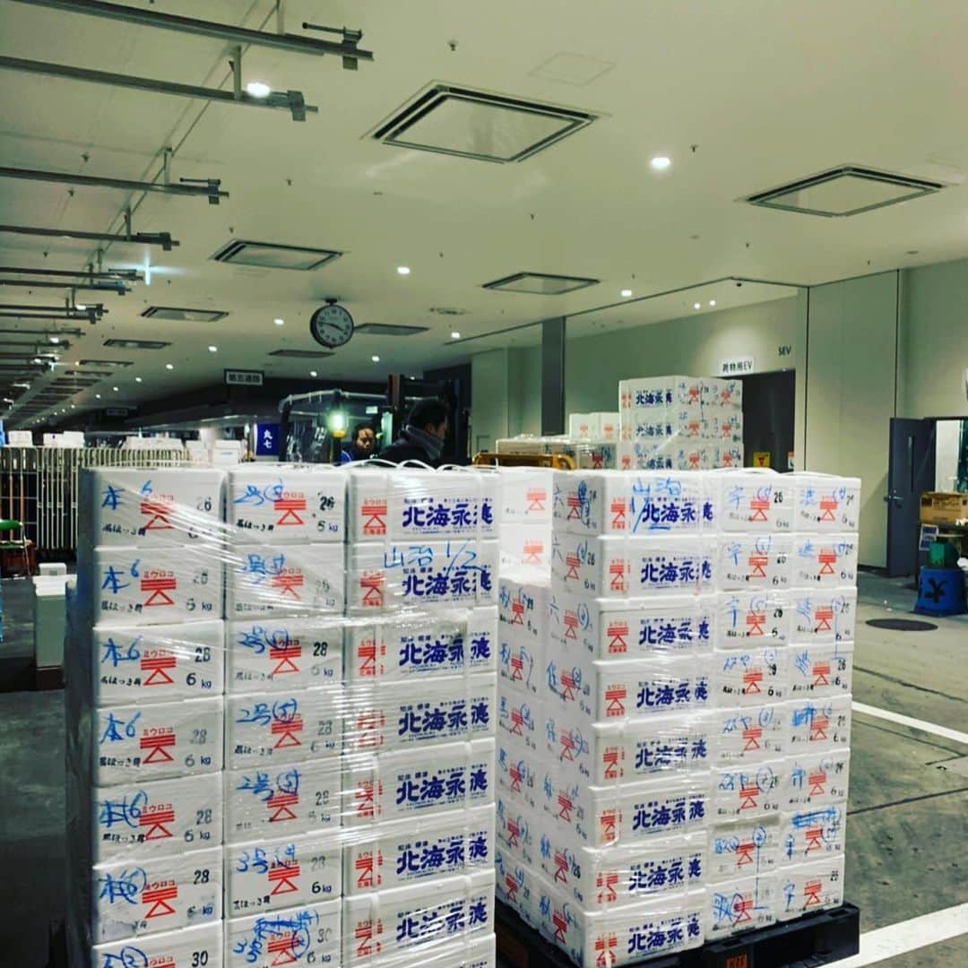 魚金さんのインスタグラム写真 - (魚金Instagram)「明けましておめでとうございます。 1月2日本日より洋食タベルナ京橋、和食田町店以外の51店舗のお店は張り切って営業致します。市場もうち以外はスーパーさん位しか荷物無さそうでした。 仲買さんからのご協力により今年もバッチリ鮮魚を揃えての営業が迎えられます。 今年もスタッフ一同元気良く多くのお客様に満足していただける様頑張ります 是非とも新年会のご予定は魚金で  仕入部　片之坂 #魚金 #新橋#新橋居酒屋#居酒屋#銀座#京橋#神田#まぐろ#刺身#吉祥寺#ビール#池袋#花火#先週村#マルタ島#唐揚げ#ブリ#渋谷#クラフトビール#レモンサワー#豊洲市場#牡蠣#夏#ワイン#神田#うに#横浜#food#foodie」1月2日 10時38分 - uokin_koho