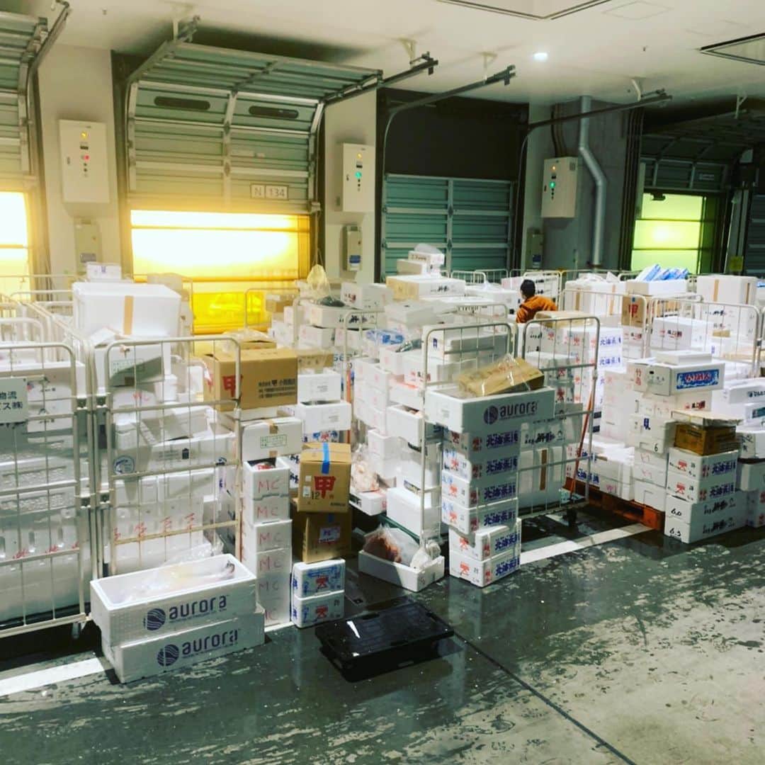 魚金さんのインスタグラム写真 - (魚金Instagram)「明けましておめでとうございます。 1月2日本日より洋食タベルナ京橋、和食田町店以外の51店舗のお店は張り切って営業致します。市場もうち以外はスーパーさん位しか荷物無さそうでした。 仲買さんからのご協力により今年もバッチリ鮮魚を揃えての営業が迎えられます。 今年もスタッフ一同元気良く多くのお客様に満足していただける様頑張ります 是非とも新年会のご予定は魚金で  仕入部　片之坂 #魚金 #新橋#新橋居酒屋#居酒屋#銀座#京橋#神田#まぐろ#刺身#吉祥寺#ビール#池袋#花火#先週村#マルタ島#唐揚げ#ブリ#渋谷#クラフトビール#レモンサワー#豊洲市場#牡蠣#夏#ワイン#神田#うに#横浜#food#foodie」1月2日 10時38分 - uokin_koho