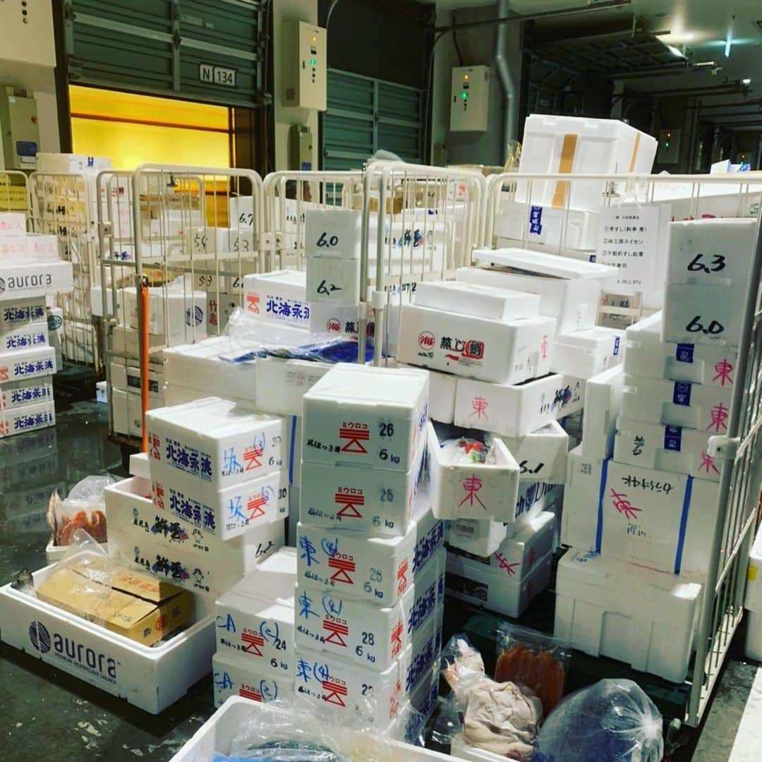 魚金さんのインスタグラム写真 - (魚金Instagram)「明けましておめでとうございます。 1月2日本日より洋食タベルナ京橋、和食田町店以外の51店舗のお店は張り切って営業致します。市場もうち以外はスーパーさん位しか荷物無さそうでした。 仲買さんからのご協力により今年もバッチリ鮮魚を揃えての営業が迎えられます。 今年もスタッフ一同元気良く多くのお客様に満足していただける様頑張ります 是非とも新年会のご予定は魚金で  仕入部　片之坂 #魚金 #新橋#新橋居酒屋#居酒屋#銀座#京橋#神田#まぐろ#刺身#吉祥寺#ビール#池袋#花火#先週村#マルタ島#唐揚げ#ブリ#渋谷#クラフトビール#レモンサワー#豊洲市場#牡蠣#夏#ワイン#神田#うに#横浜#food#foodie」1月2日 10時38分 - uokin_koho