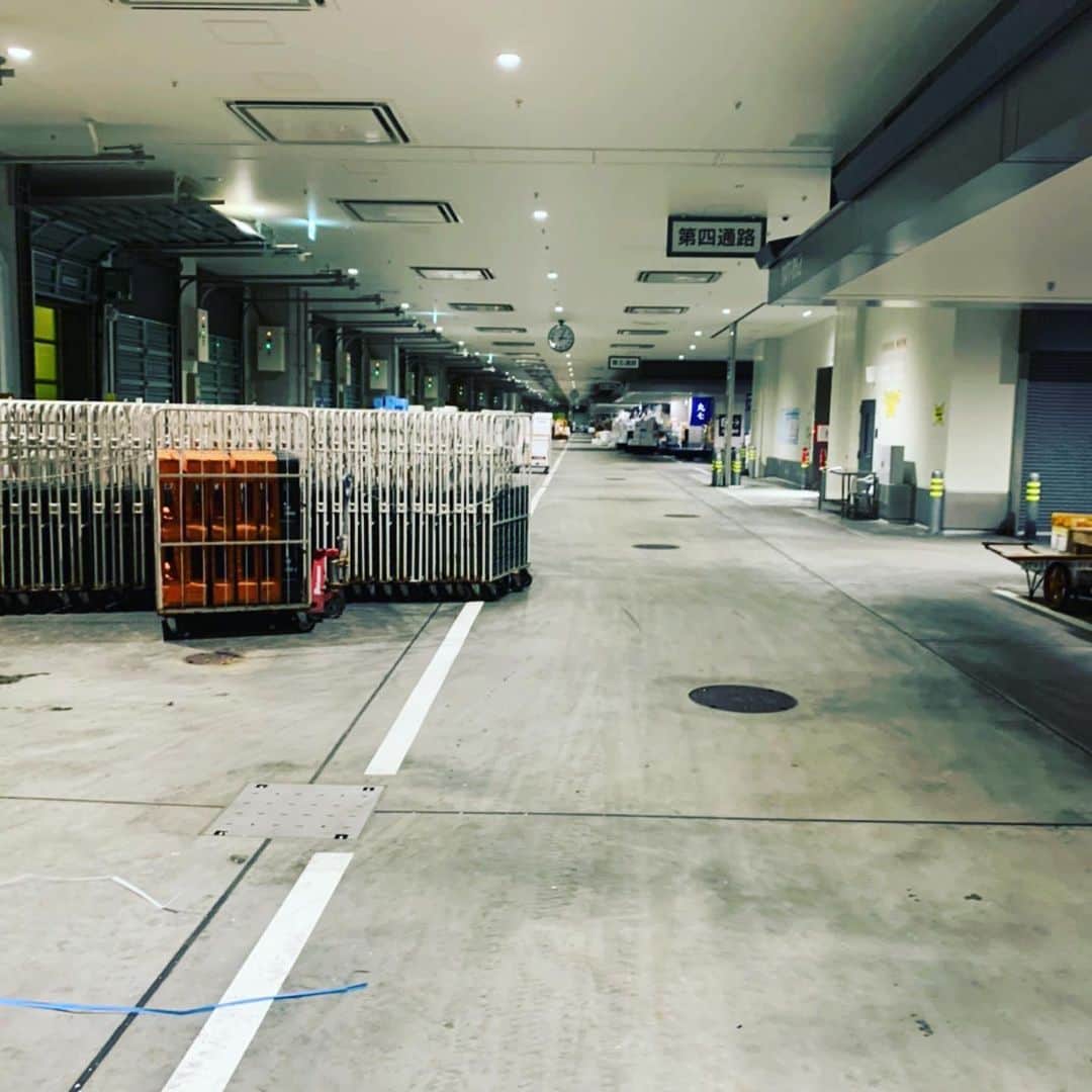 魚金さんのインスタグラム写真 - (魚金Instagram)「明けましておめでとうございます。 1月2日本日より洋食タベルナ京橋、和食田町店以外の51店舗のお店は張り切って営業致します。市場もうち以外はスーパーさん位しか荷物無さそうでした。 仲買さんからのご協力により今年もバッチリ鮮魚を揃えての営業が迎えられます。 今年もスタッフ一同元気良く多くのお客様に満足していただける様頑張ります 是非とも新年会のご予定は魚金で  仕入部　片之坂 #魚金 #新橋#新橋居酒屋#居酒屋#銀座#京橋#神田#まぐろ#刺身#吉祥寺#ビール#池袋#花火#先週村#マルタ島#唐揚げ#ブリ#渋谷#クラフトビール#レモンサワー#豊洲市場#牡蠣#夏#ワイン#神田#うに#横浜#food#foodie」1月2日 10時38分 - uokin_koho