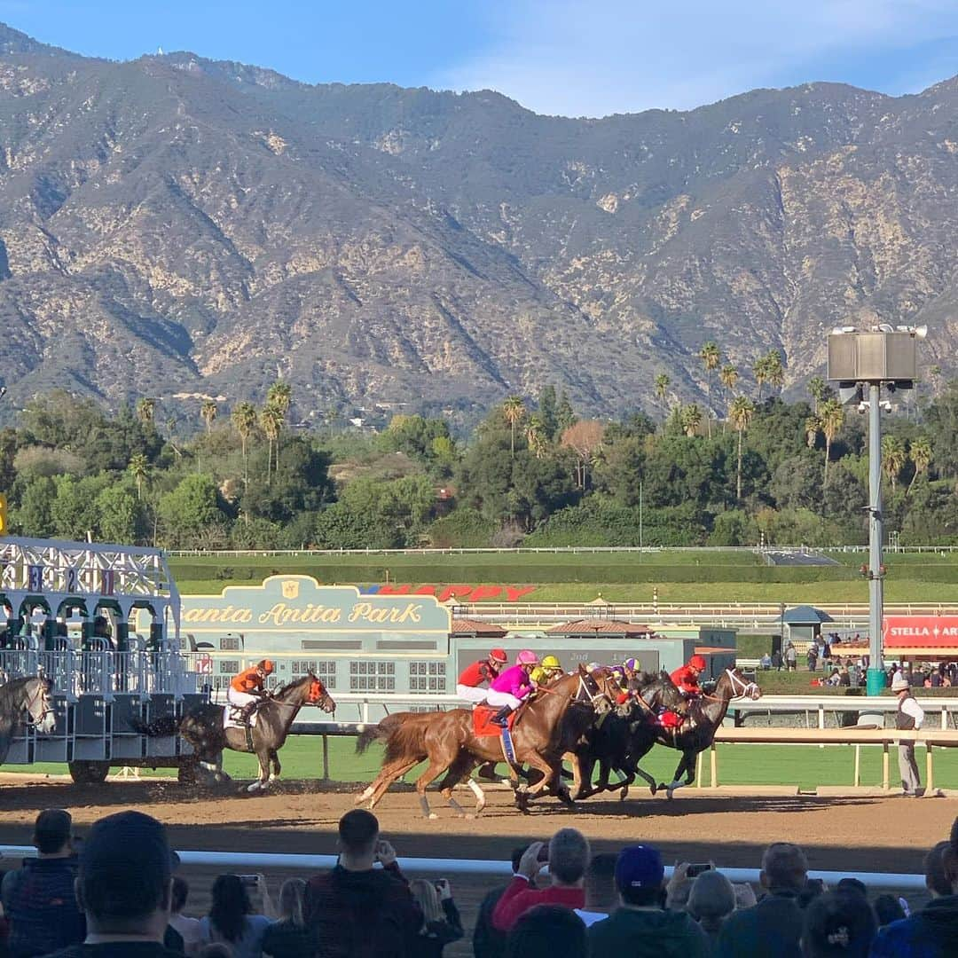 クリストフ・ルメールさんのインスタグラム写真 - (クリストフ・ルメールInstagram)「Scenes at Santa Anita Park !! #happynewyear#santaanitapark#racecourse#horseracing」1月2日 10時51分 - christophelemaire_officiel