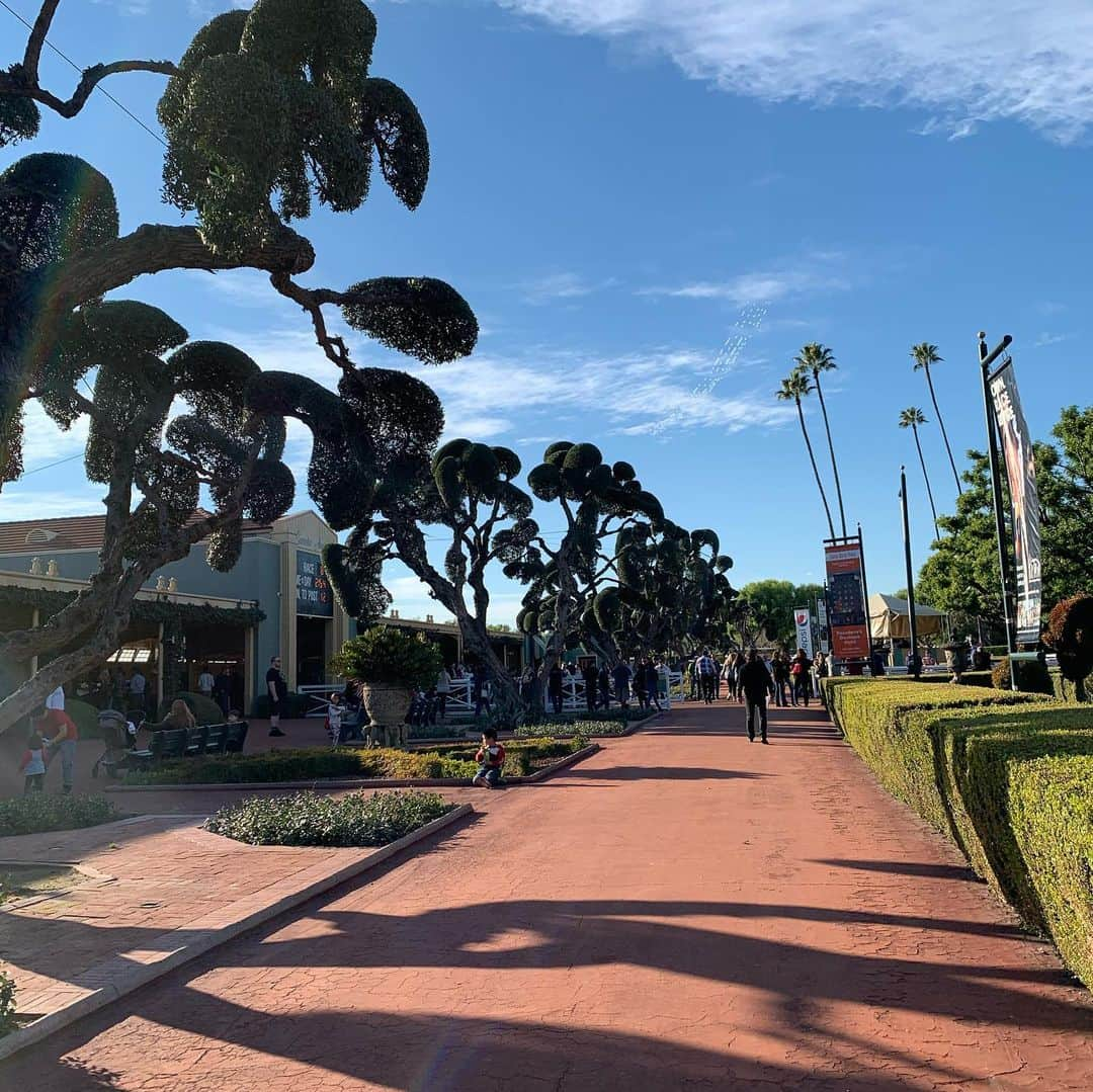 クリストフ・ルメールさんのインスタグラム写真 - (クリストフ・ルメールInstagram)「Scenes at Santa Anita Park !! #happynewyear#santaanitapark#racecourse#horseracing」1月2日 10時51分 - christophelemaire_officiel