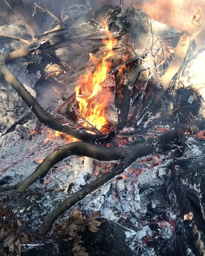 花沢将人のインスタグラム：「明けましておめでとうございます。  長々とあれだけど、最近気付いたことは、努力は十分にしてるんだってこと。自分には工夫が足りねーなって。それを念頭に引き続き邁進します。  あと開運スポットがスパらしいのでスパ友作るのが目標だな。  今年もよろしくお願い致します。」