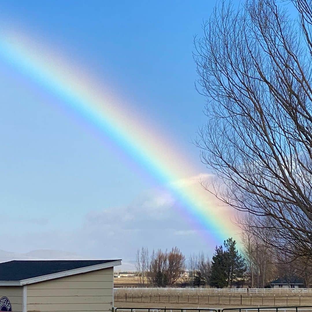 ストーン・コールド・スティーブ・オースチンさんのインスタグラム写真 - (ストーン・コールド・スティーブ・オースチンInstagram)「Killer rainbow this morning in Nevada. 2020」1月2日 12時47分 - steveaustinbsr