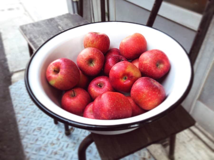 相沢梨紗さんのインスタグラム写真 - (相沢梨紗Instagram)「ふじりんご🍎がすき❣️ . 今年も色々とお料理も楽しみたいな〜🙌 . . . #happynewyear #apple #🍎 #ふじりんご #🐭」1月2日 12時40分 - risacheeese