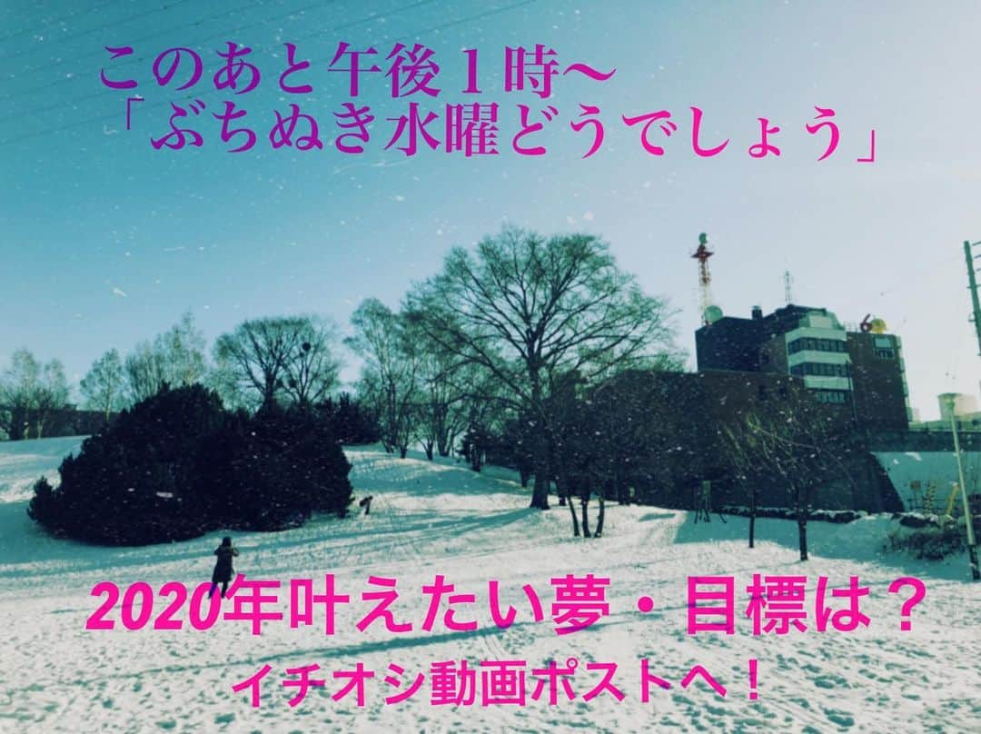 北海道テレビ「イチオシ！モーニング」さんのインスタグラム写真 - (北海道テレビ「イチオシ！モーニング」Instagram)「このあと午後1時〜ぶちぬき水曜どうでしょう！楽しみながら、なんとなく今年叶えたい夢や目標を考えてみて下さい♪決まったらメッセージ動画で撮影して「イチオシ動画ポスト」へ！皆さんのチカラでイチモニをどうかお助け下さい。よろしくお願いします！ #水曜どうでしょう #イチモニ #今年叶えたい夢・目標は？ #メッセージ動画を撮影して #イチオシ動画ポストへ #スマホで撮影する場合は横向きで #カメラに向かって元気よなく #たくさんのご応募 #お待ちしています #1月6日放送予定 #イチオシ #htb」1月2日 12時52分 - htb_ichimoni