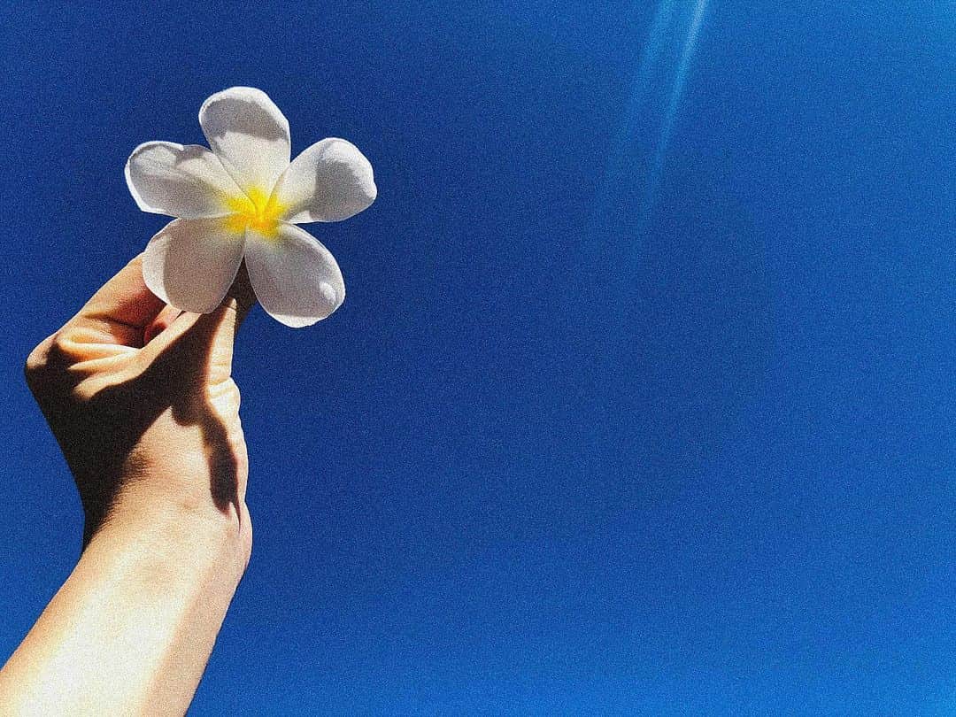 のインスタグラム：「今日も良い一日になりますように…♡﻿ ﻿ 早速、初夢見ました。﻿ 親友ちゃんが出てきてくれたんだけど﻿ ちょっとハレンチな初夢だったよ…❤️🤭笑﻿ ﻿ 皆さんの初夢はどんな夢？(^^)﻿ ﻿ 教えて〜！﻿ ﻿ #2020﻿ #初夢﻿」