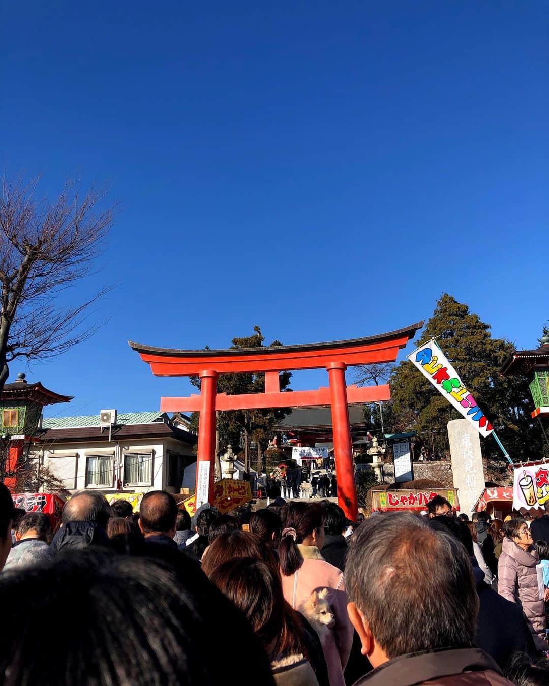 HI-Dさんのインスタグラム写真 - (HI-DInstagram)「今年は元旦に初詣行ってきました。今年こそもっと上へ。と雲一つない青空の下お祈りしてきました。 皆さま、どうぞ宜しくお願い申し上げます。」1月2日 13時47分 - hid_hideo_jp_suomi