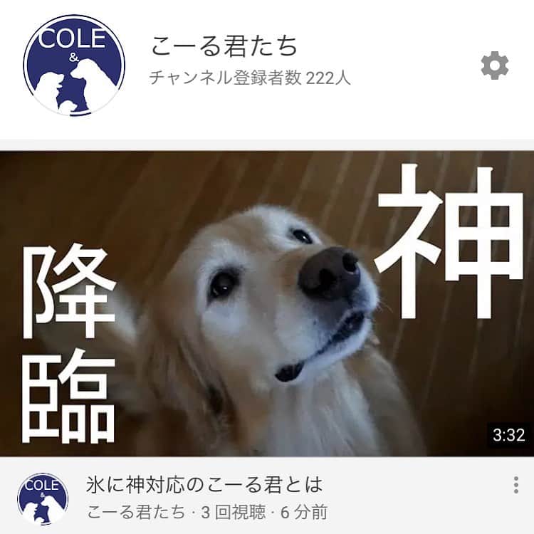 とものインスタグラム