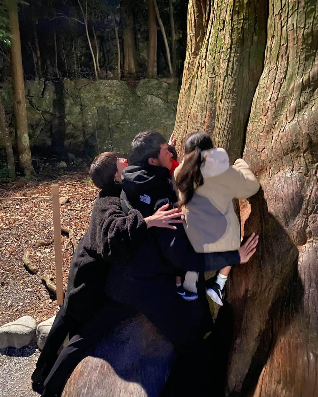 松本恵奈さんのインスタグラム写真 - (松本恵奈Instagram)「初日の出からの伊勢神宮◎ いつも子供達がちゃんと歩いてくれないから全部回るのにすごーく時間がかかります。笑 大きな木に家族でしがみつき沢山、パワーもらいました。 #伊勢神宮」1月2日 14時32分 - ena1123