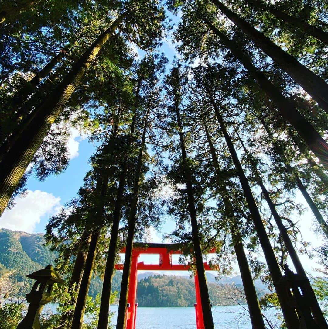 弓削智久のインスタグラム：「謹賀新年⛩ 本年も宜しくお願い致します」