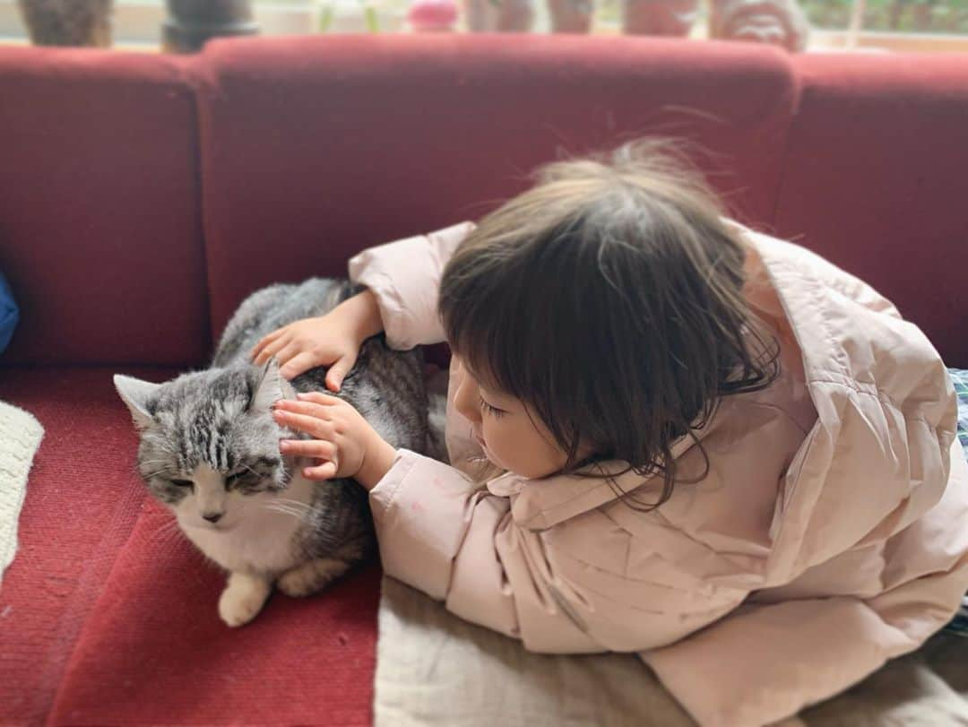 坂本美雨さんのインスタグラム写真 - (坂本美雨Instagram)「新年の #サバ美となまこちゃん . 今年は、かぁさんはいつもに増してサバちゃんを溺愛し、大事にしていくよ！と家族に宣言した。 . #cat #サバ美 #今日のなまこちゃん」1月2日 15時34分 - miu_sakamoto