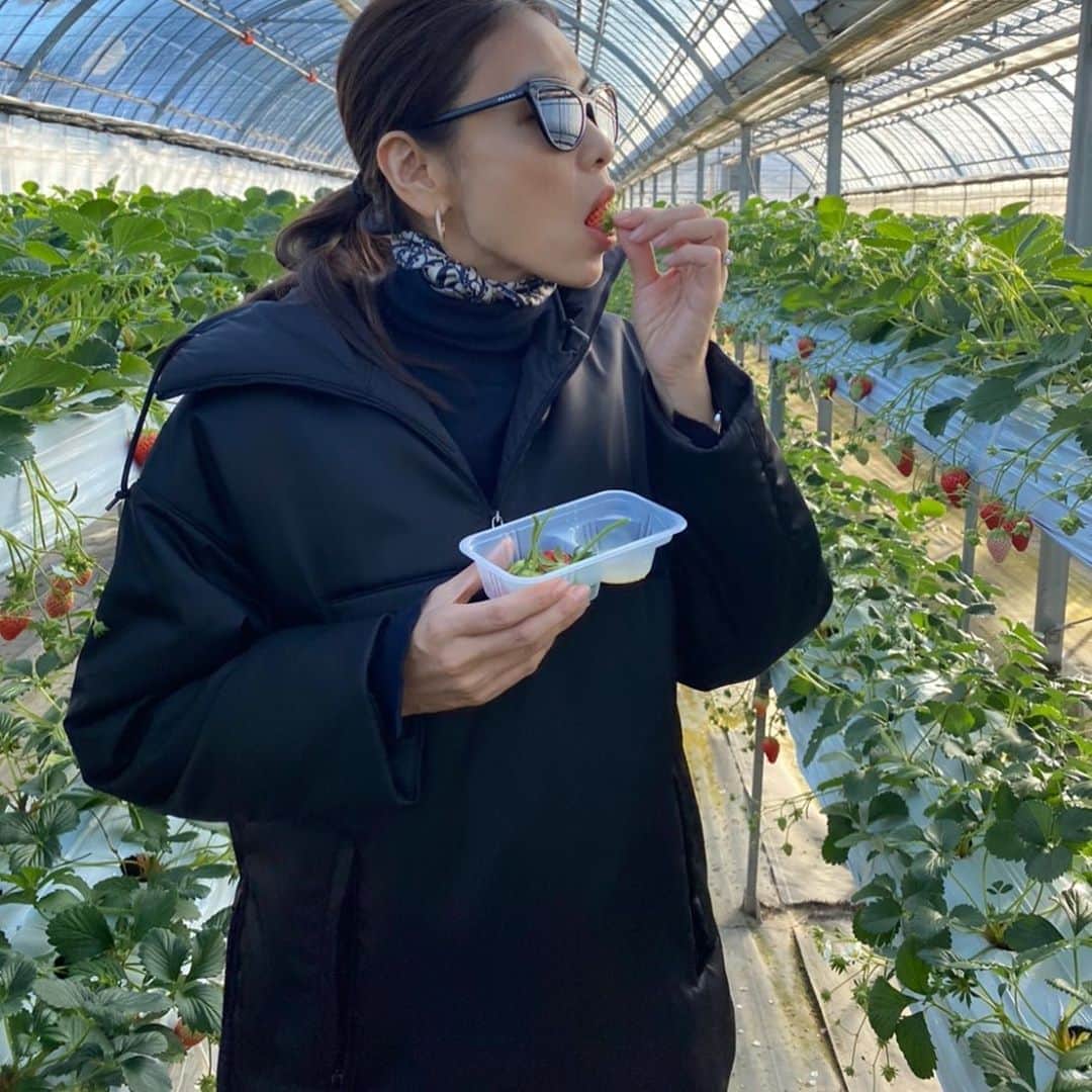 滝沢眞規子のグルメインスタ