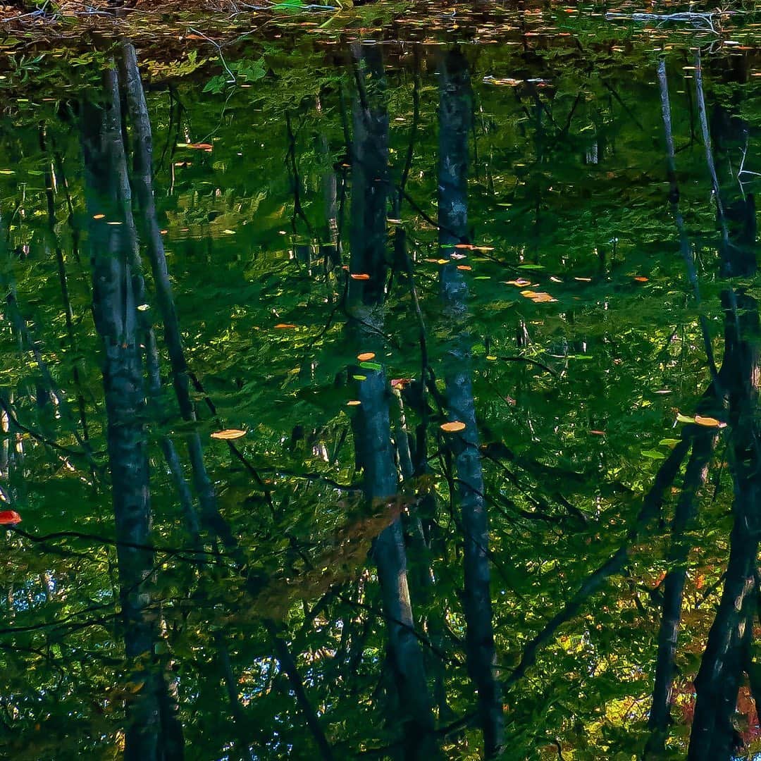 tomohiro koshikaのグルメインスタ