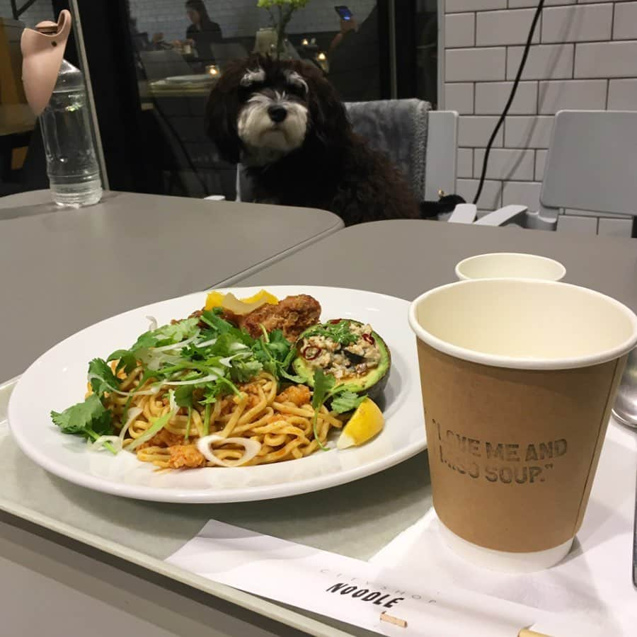 DJみそしるとMCごはんさんのインスタグラム写真 - (DJみそしるとMCごはんInstagram)「LOVE ME AND MISOSOUPとコラボ中のCITY SHOP NOODLEにいってきた！麺もタレもデリも全部選べて、恥ずかしながら思考停止…！なので、まなちゃんおすすめセット。ソイミソスープに、トムヤムだれで和えた中華麺をつけると、麺はもちろん、ミソスープも味変！ありそうでない食べ方だ！ 🍜 みそしるの相棒はごはんだけじゃないと知る。 🍜 妹の犬、モジャモジャ。眉毛かわいい。」1月31日 20時26分 - misosirugohan