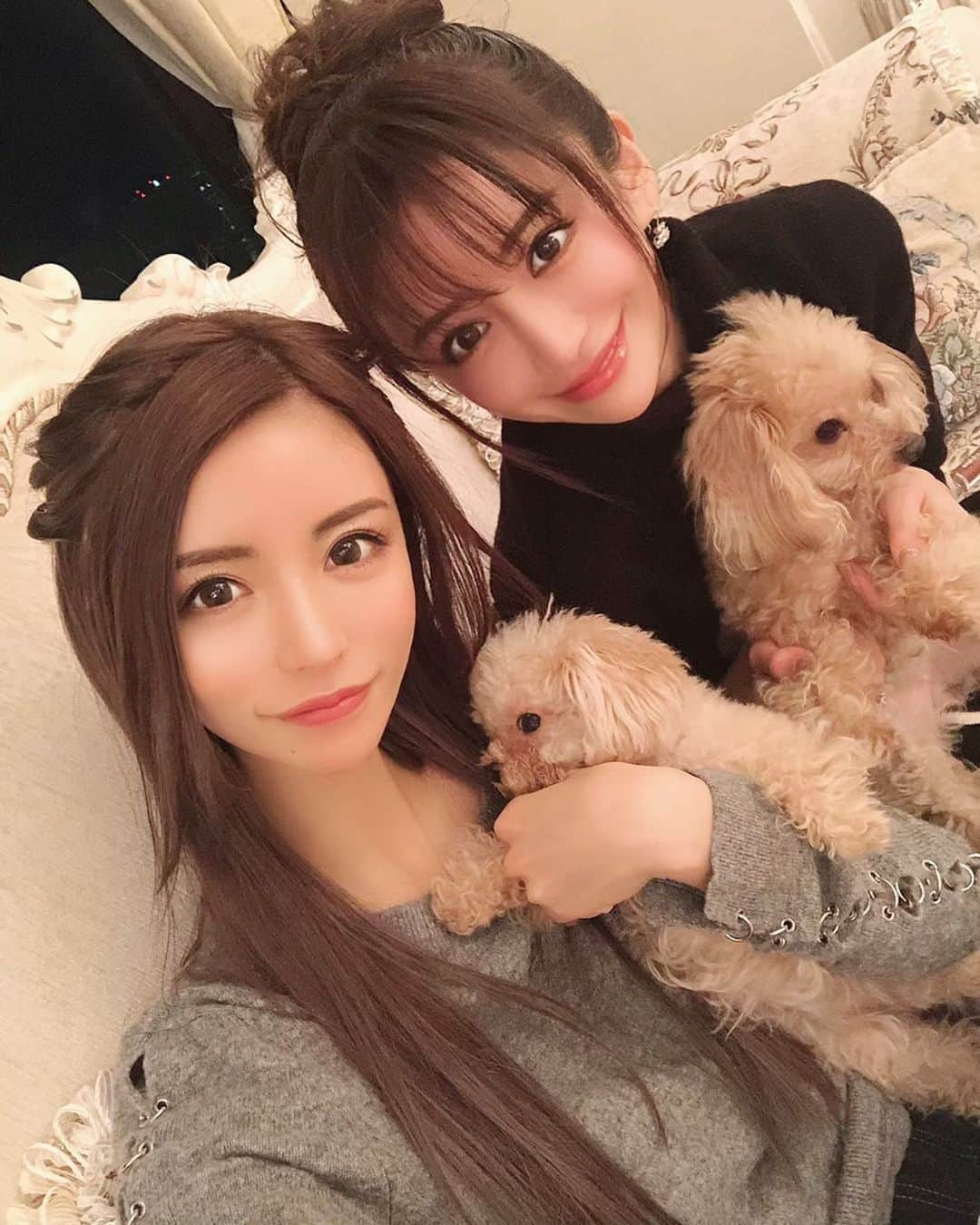 一条響さんのインスタグラム写真 - (一条響Instagram)「女子会楽しかった👩🏻👧🏽🐩🐩💕 ， ふわYouTubeでびゅー🤣💞 ， #撮影#youtube#愛沢えみり#一条響#愛犬#ティアラ#ふわ#女子会」1月31日 20時50分 - ichijyo_hibiki