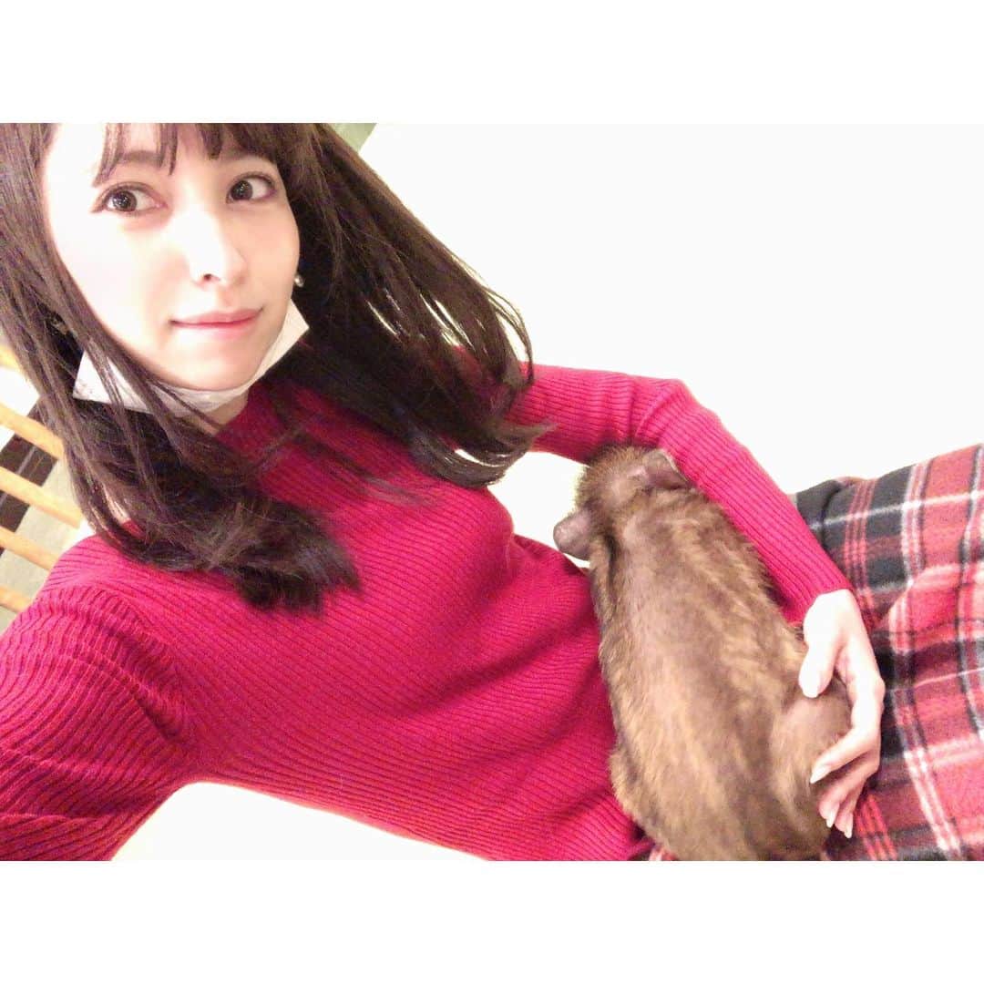 鹿野悠のグルメインスタ