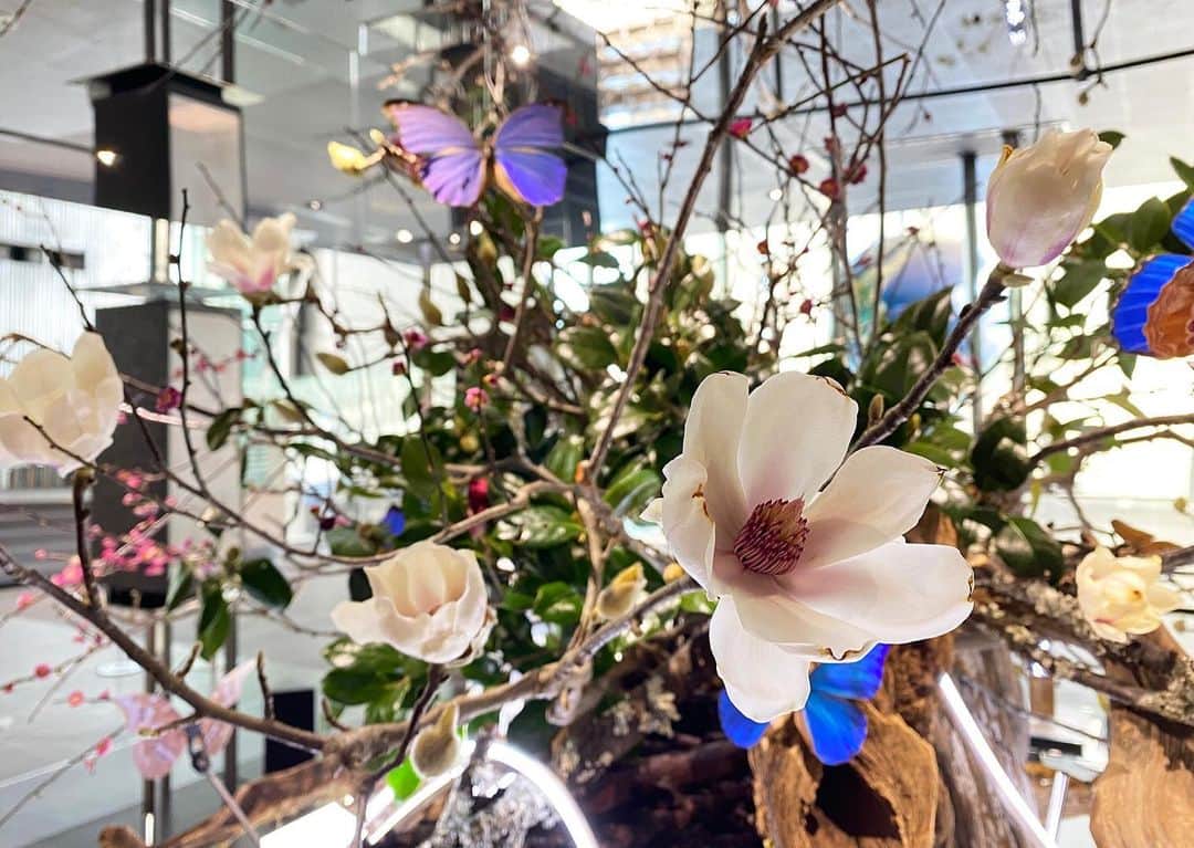 Miraikan, 日本科学未来館さんのインスタグラム写真 - (Miraikan, 日本科学未来館Instagram)「立春仕様🇯🇵 For the beginning of spring in the traditional Japanese calendar.  #計算機と自然計算機の自然  #未来館 #miraikan #立春 #spring」1月31日 21時17分 - miraikan