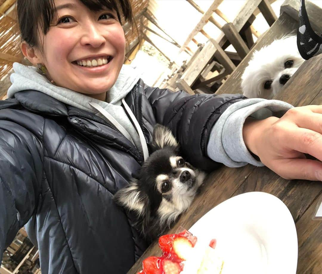 小野真弓のインスタグラム