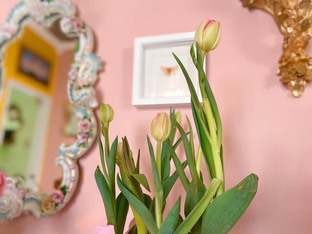 オードリー・キッチングのインスタグラム：「Documenting the life of a flower.」
