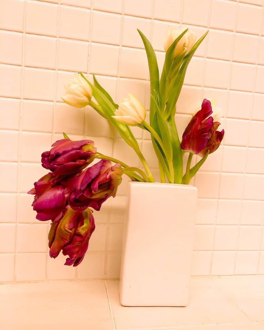 工藤静香さんのインスタグラム写真 - (工藤静香Instagram)「チューリップは飾っていて1番楽しいお花かもしれない😊 水を吸い上げ、茎の伸びる感じがたまらない。  もう短くなるまで何日も楽しんだ花は、毎回トイレに飾ります。 なんだかホッとしますよ！ 是非お試しください。」1月31日 15時14分 - kudo_shizuka