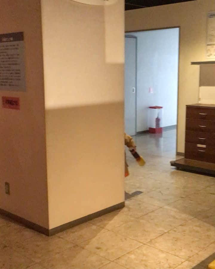 のインスタグラム：「まりおと明奈の社会科見学🚒💨」