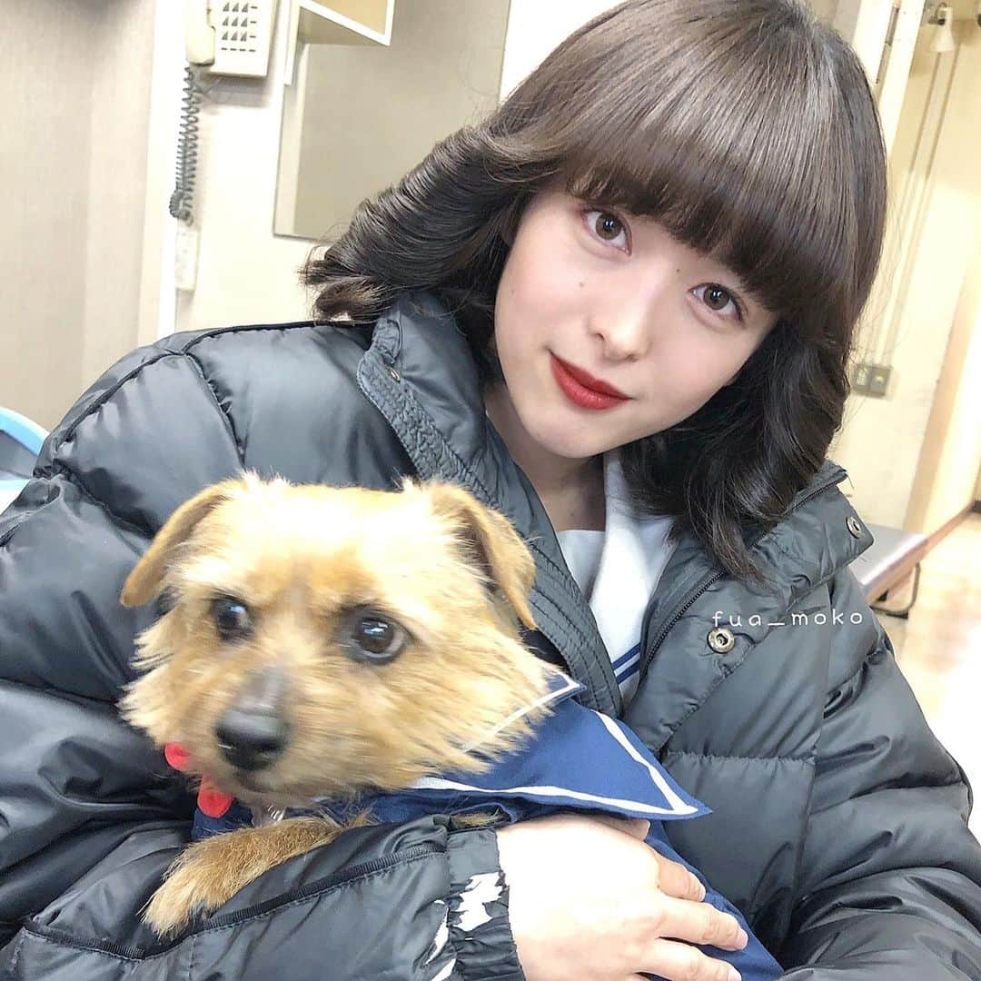 女優ファンアカウントさんのインスタグラム写真 - (女優ファンアカウントInstagram)「#清野菜名#犬 #白でも黒でもない世界でパンダは笑う  #白黒#半分青い #今日から俺は#fua_moko」1月31日 16時27分 - fua_moko