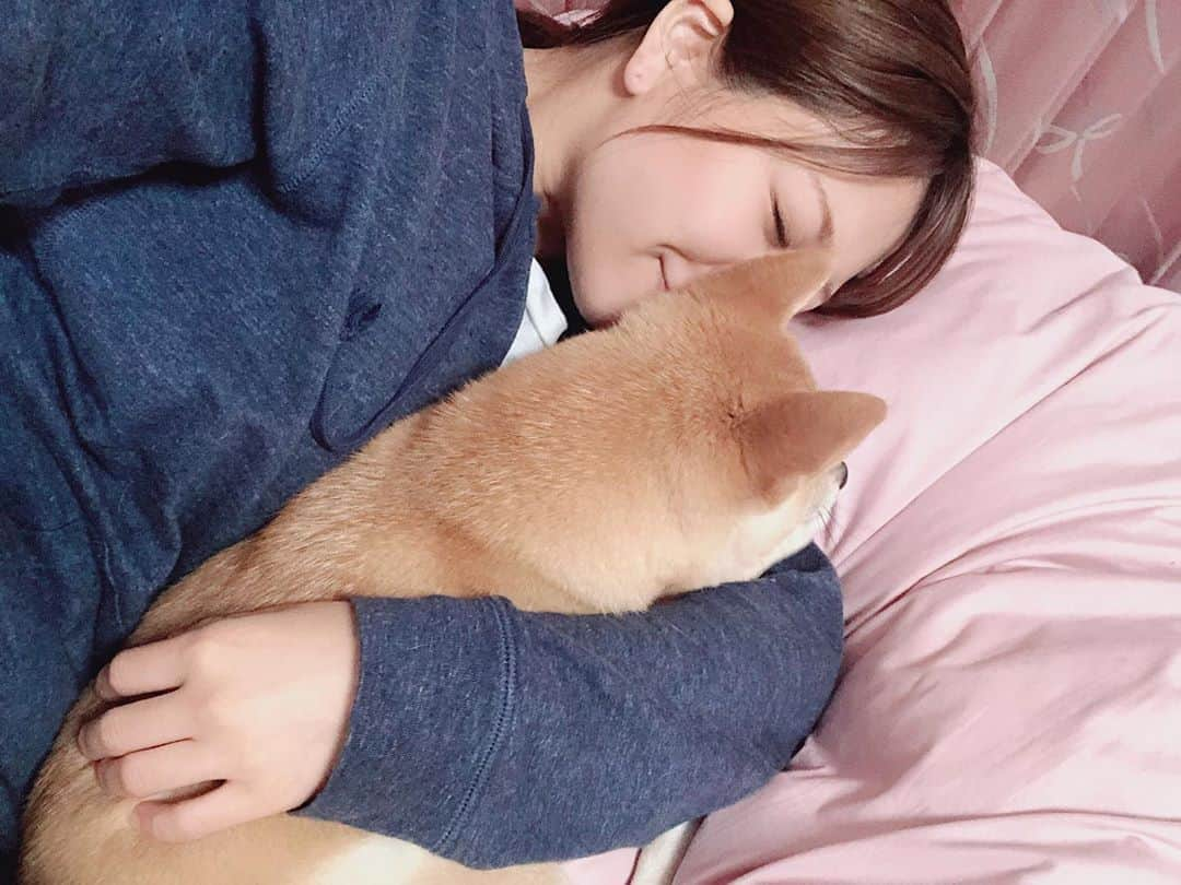 藤崎里菜さんのインスタグラム写真 - (藤崎里菜Instagram)「あー💕可愛い🐶💕💕💕💕 ． ． ． ． ． #至福のとき #世界一可愛い  #豆柴むぎ #豆柴  #犬がいる生活 #犬 #dog #japanesedog #shibainu  #shiba #日本犬  #わんすたぐらむ #むぎすたぐらむ #わんわんお  #親バカ部  #生後8ヶ月  #天使 #わたしの可愛い子ちゃん」1月31日 17時07分 - rina_fujisaki