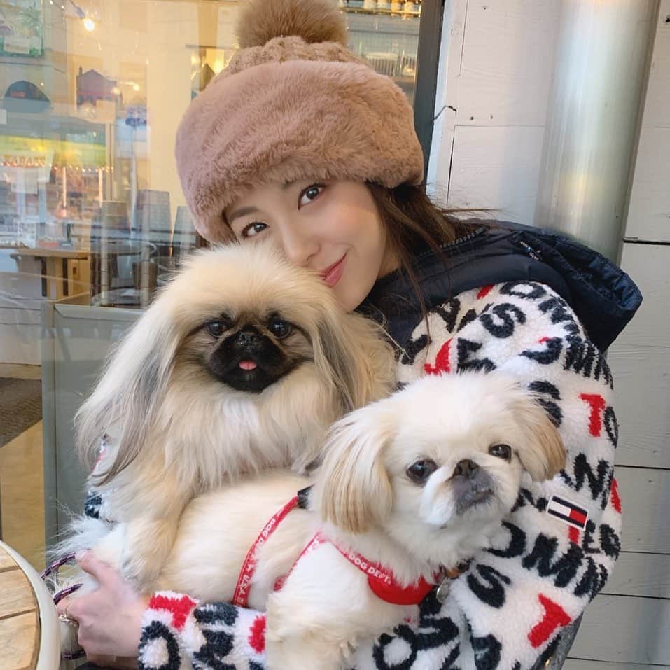 池田ゆりのインスタグラム：「きなことおとくんとTea time☕️﻿ ﻿ ﻿ アウターはTommy (@tommyhilfiger ) 暖かいし、もこもこでかわいくて一目惚れした❤️﻿ ﻿ ﻿ #tommy #pekingese #cafe #teatime ##fitness #protein #beauty #bodymake #instagood #todaystraining #gym #style #tokyo #도쿄 #피트니스 #이케다유리」
