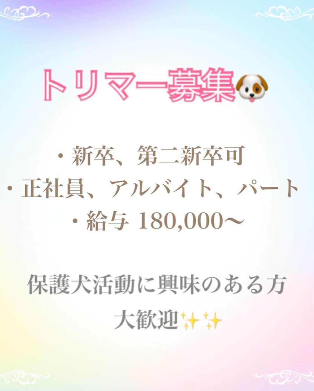 伊東大輝さんのインスタグラム写真 - (伊東大輝Instagram)「春始動予定👍🏽 殺処分の多いペット業界を変える為、志ある仲間を募集します！！🔥🔥 今の職場に満足してないトリマーさん、もっと上目指したいトリマーさん、新天地で新しい人生送ってみてもいいなというトリマーさん、事業拡大を一緒に楽しんで行っていけるトリマーさん、また、トリマーのお友達がいる方、ドシドシ連絡ください！📩 勤務地 : 流山店  都心から15分、流山セントラルパーク駅目の前(つくばエクスプレス)  雇用形態 : 正社員, アルバイト･パート, 新卒 給与：180,000円～250,000円 /月給 . 基本的に経験は問いません！（新卒・第二新卒可）／トリミングサロン実務経験者／トリミング学校卒業／ブランクがある方でも構いません！ . 正社員もちろん昇給あり！交通費補助！ 引っ越し費用補助！イベントたくさん！ アルバイト、パートも能力に応じて時給アップ！ 【具体的な業務内容】 ・トリミング全般 ・保護犬のトリミング ・ペットホテルでのお預かり ・清掃などの朝の業務 ・飼い主様とのコミュニケーション ・イベントの開催 ・保護犬のお世話 など . その他詳細はお問い合わせください👍🏽 . わんちゃんダイスキなトリマーさん🐶 お問い合わせお待ちしております🔥  また、保護犬活動に興味のある方、ワンちゃん大好きな方、１日1時間でもお散歩ボランティア、お掃除ボランティア大募集です🙏🏽」1月31日 17時52分 - daikiitoh