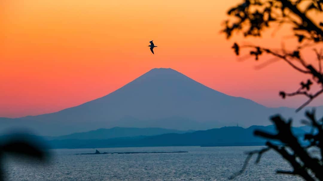 斧口智彦のインスタグラム：「すっごくタイミング良かった富士山。  #写真好きな人と繋がりたい #風景写真 #風景写真を撮るのが好きな人と繋がりたい #富士山 #fujisan #mountfuji #夕日 #夕日が綺麗 #夕焼け #夕焼け空 #空 #空が好きな人と繋がりたい #赤い空 #シルエット」