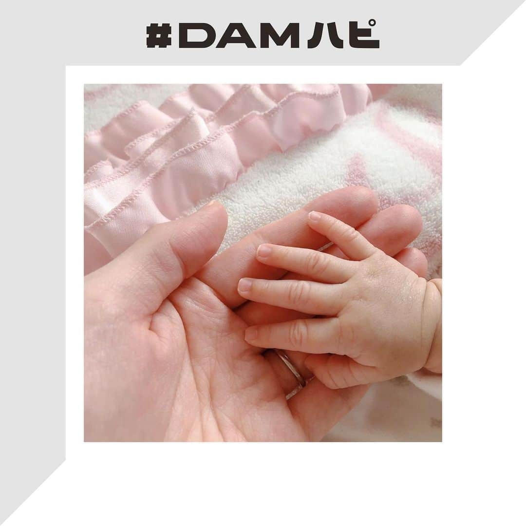 DAMチャンネルのインスタグラム：「・﻿ ▽今週のDAMハピ△﻿ みなさんの『 #DAMハピ 』な瞬間をお届け！﻿ 今回ご紹介するのは「家族やペットのお写真」です🌿﻿ ___________________________﻿ ﻿ 1枚目： @mrn_nyan_ さん﻿ ﻿ こんなにも暖かいお父さんとお母さんの間に産まれて過ごす日々はきっと素敵な日々になりますね✨﻿ 本当におめでとうございます。﻿ ﻿ 【Caption pickup】﻿ 昨年末に産まれた長女👶🏻﻿ 小さな体で、いっぱい泣いて、たくさんおっぱい飲んで、必死に生きてるんだなぁ。﻿ パパとママのところに産まれてきてくれてありがとう❤️﻿ ﻿ ___________________________﻿ ﻿ 2枚目：@sangoruka_cats さん﻿ ﻿ 日向ぼっこで眠くなっちゃったのかな？﻿ こんなにも気持ち良さそうだと私達まで眠たくなってきますね💤﻿ ﻿ 【Caption pickup】﻿ ﻿ くららのハウスダストアレルギーが落ち着いて、タイルカーペットを敷いてからルカがこんな感じ💤﻿ 時々コロンコロン転がる姿が眼福😍﻿ ﻿ ___________________________﻿ ﻿ ﻿ そして！2/7からテーマが変わり「大切な瞬間」の写真を募集いたします✨﻿ ﻿ 友達と過ごす時間や好きなものを食べる瞬間など👀﻿ あなたのとっておきの1枚を『#DAMハピ』をつけて投稿してください！﻿ ﻿ ﻿ 『#DAMハピ』をつけて投稿してくれた「大切な瞬間」の写真から、ランダムでDAM CHANNEL Instagramでリポストいたします✨﻿ リポストされた方には【Amazonギフト券5,000円分】をプレゼント🎁﻿ ﻿ 「大切な瞬間」の写真、たくさんお待ちしております！﻿ ﻿ ﻿ ■応募期間﻿ 2020年2/7(金)〜2/24(月) 23:59﻿ ﻿ ■応募条件﻿ ❶DAM CHANNELの公式アカウント( @damchannel )をフォロー﻿ ❷規約の書かれた投稿にいいね﻿ ❸ご自身の「大切な瞬間」をハッシュタグ「 #DAMハピ 」をつけてInstagramに投稿﻿ ※通常投稿のみ。上記の3点全ての条件を満たした場合、キャンペーン応募とみなします。﻿ ﻿ ・キャンペーン事務局にて選定した写真、およびご投稿いただいたアカウント名は、編集のうえ、DAM CHANNELアカウントからリポスト、ストーリーズ等として投稿致します。﻿ その際、採用のご連絡はいたしませんのでご了承ください。﻿ ・不適切な写真は応募の対象外とさせて頂きます。﻿ ⇒暴力的・性的・差別的描写あるいは表現のある写真等﻿ ※複数枚ご応募された場合は、1枚選出し、使用させていただきます。﻿ ﻿ ＊注意事項＊﻿ 以下の注意点をよくお読みいただき、同意の上ご応募ください。﻿ 投稿者が本キャンペーンへ参加された場合、すべての応募条件に同意したものとみなします。﻿ ※投稿者が全ての権利を有する写真やコメントのみを投稿してください。﻿ ※投稿された写真やコメントの著作権は、投稿者に帰属いたしますが、投稿者は、当社に対して無償で非独占的に使用する権利(サブライセンスを含む。)を許諾します。投稿者は、当社に対して、著作者人格権の行使をしないものとします。﻿ ※未成年者が写真を投稿する場合は、親権者など法定代理人の同意を得る必要があります。﻿ ※当キャンペーンはInstagram及びFacebook社とは一切関係ありません。﻿ ﻿ ＊免責事項＊﻿ ・当キャンペーンで投稿された写真による著作権・肖像権等の侵害等の責任を、当社は一切負いません。﻿ 投稿者自らが被写体本人の承諾を得る等した上でご応募下さい。万一、第三者との間で何らかの紛争が生じた際は、応募者自身の責任と費用負担によって解決していただきます。﻿ ・当キャンペーンに関する投稿への「いいね」やコメント等を頂いた場合には、お客様がInstagram上で公開されている情報へのアクセスを許諾したものとみなします。﻿ ﻿ ー﻿ ﻿ #DAM #DAMCHANNEL #ダムカラ #DAMハピ ﻿ #DAMプレ #今週のDAMハピ #damstagram #LIVEDAM_Ai #オッケーDAM﻿ ﻿ #投稿キャンペーン #プレゼントキャンペーン #プレキャン #インスタグラムキャンペーン #プレゼント企画 #新年キャンペーン #キャンペーン実施中 #カラオケ好き #ねこすたぐらむ #ねこのいる生活 #ねこ部 #子供のいる暮らし #誕生日 #くらしを楽しむ #赤ちゃんのいる生活 #ベビスタグラム #令和ベビー」