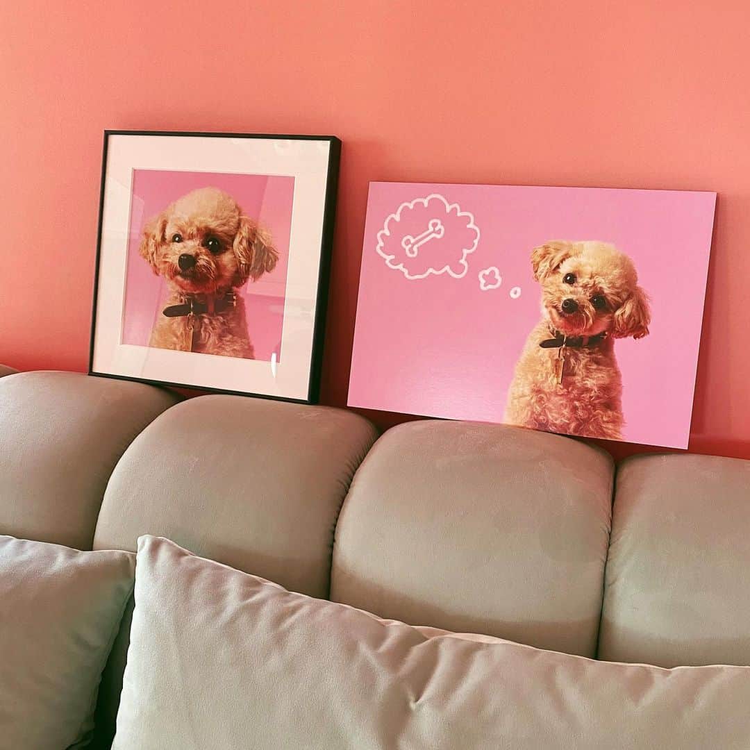 megbabyのインスタグラム：「🧸🖼💕宝物です🥰　@queen_of_pablo」