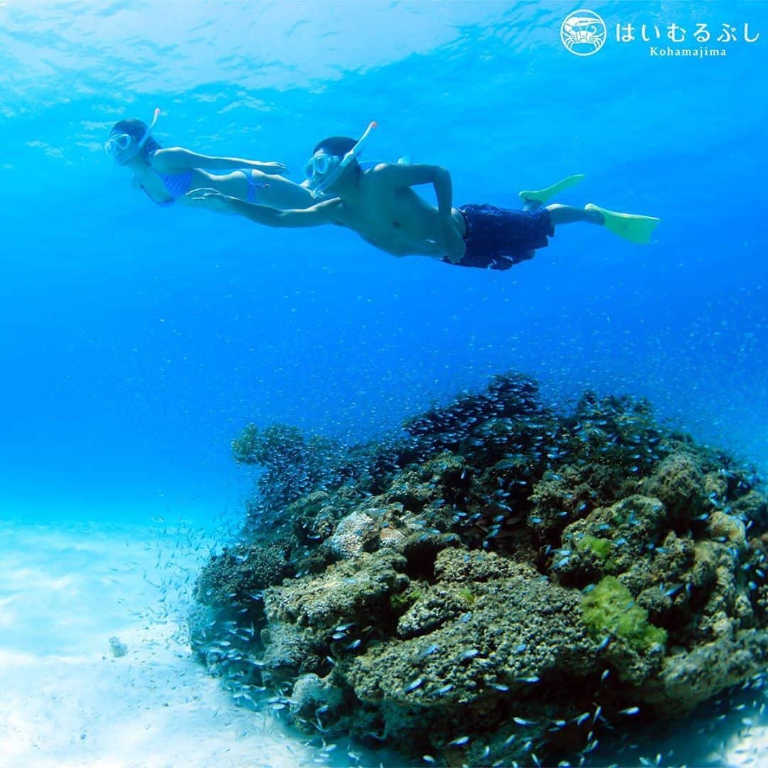 HAIMURUBUSHI はいむるぶしさんのインスタグラム写真 - (HAIMURUBUSHI はいむるぶしInstagram)「青く澄んだ海を宙を舞うように泳ぐ心地よさ… 今年の夏に訪れたい楽園があります。 #沖縄 #八重山諸島 #石西礁湖 #サンゴ礁 #シュノーケリング #素潜り #小浜島 #リゾート #ホテル #はいむるぶし #japan #okinawa #yaeyamaislands #coral #bluesea #snorkeling #tropicalfish #kohamajima #beachresort #haimurubushi」1月27日 22時49分 - haimurubushi_resorts