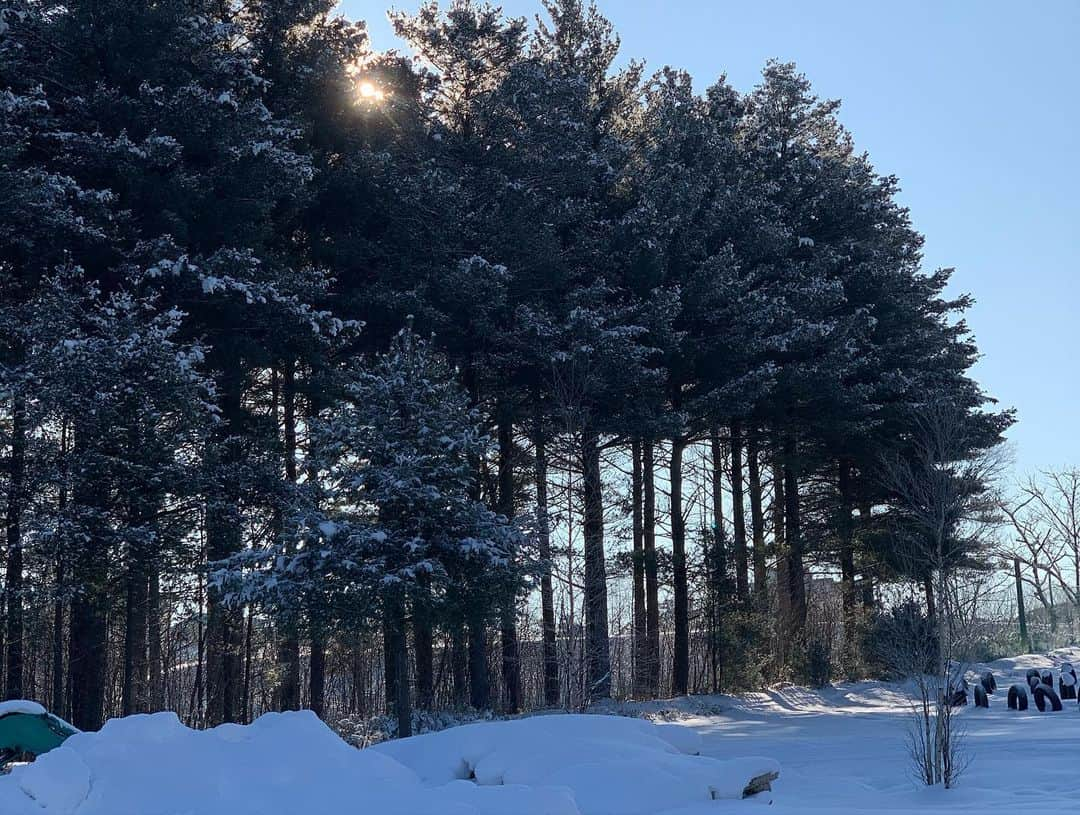 みかんさんのインスタグラム写真 - (みかんInstagram)「富良野思い出photo⛄️❄️⛄️❄️⛄️ 自然は素敵やな❣️ 明日は関東も雪みたいだけど、みんな移動には気をつけてね✨ #深山峠 #富良野」1月27日 23時01分 - mikan02241984