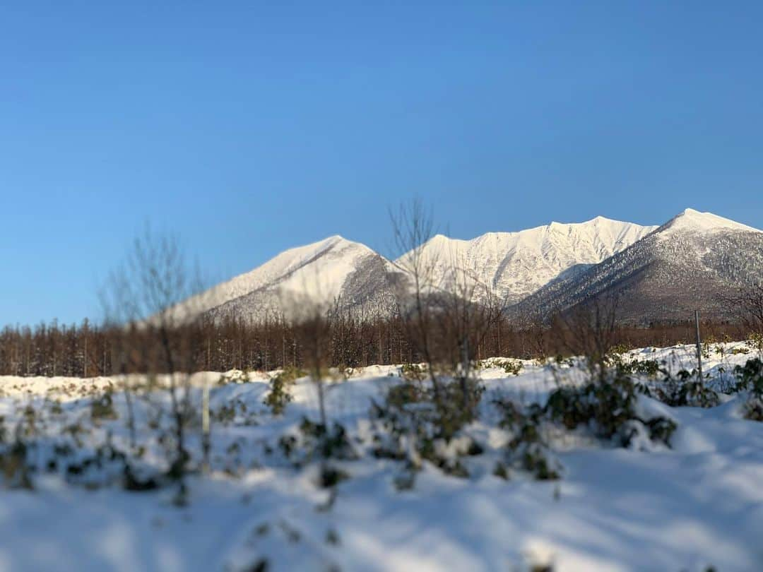 みかんさんのインスタグラム写真 - (みかんInstagram)「富良野思い出photo⛄️❄️⛄️❄️⛄️ 自然は素敵やな❣️ 明日は関東も雪みたいだけど、みんな移動には気をつけてね✨ #深山峠 #富良野」1月27日 23時01分 - mikan02241984