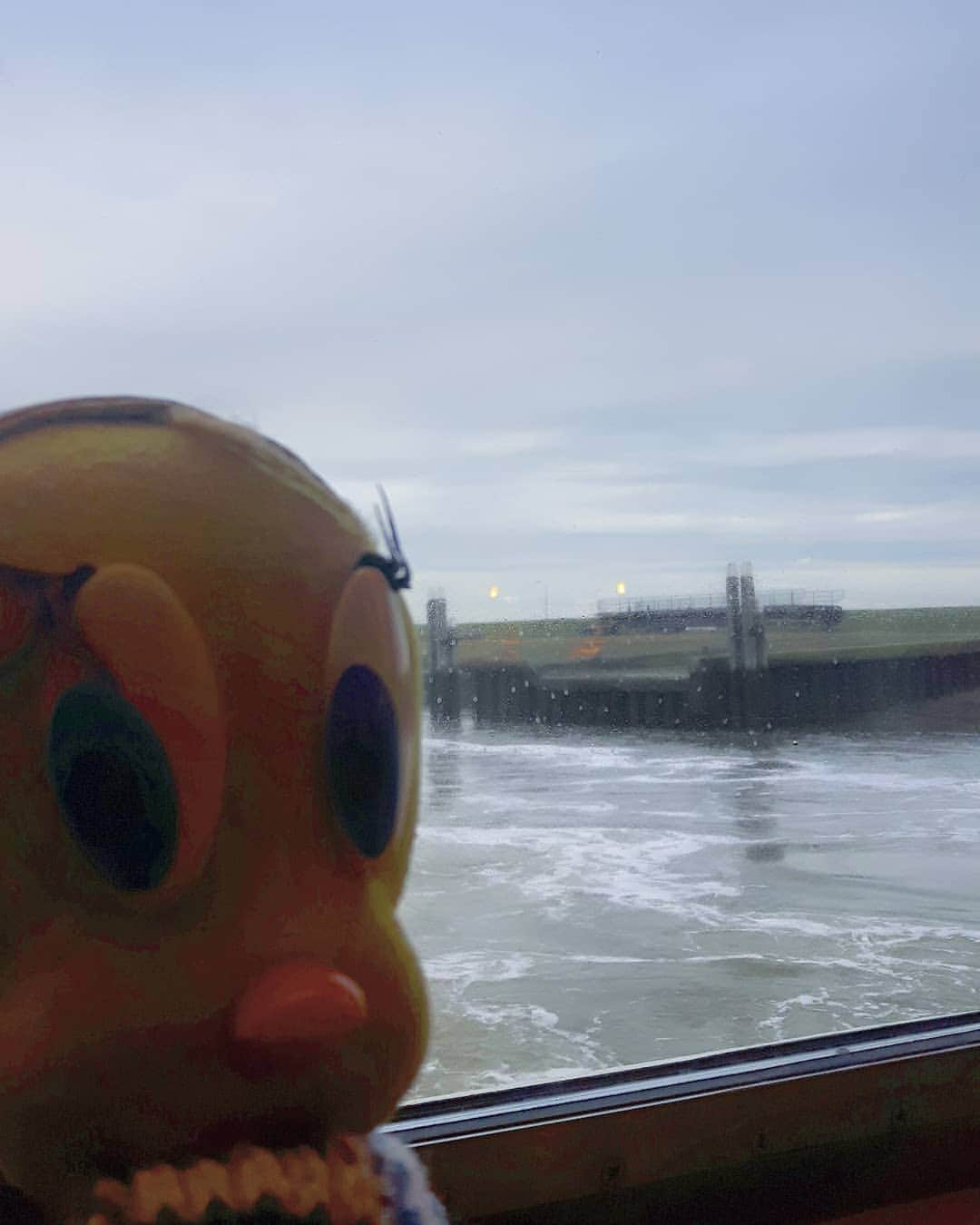 Little Yellow Birdさんのインスタグラム写真 - (Little Yellow BirdInstagram)「Going home... #littleyellowbird #tweety #tweetykweelapis #adventures #yellow #bird #holidays #holidaysareover #goinghome #backhome #ferry #schiermonnikoog #schier #wagenborg #lauwersoog #northsea #noordzee #netherlands #wadden #waddenzee #monday #stuffedanimalsofinstagram #plushiesofinstagram」1月27日 23時45分 - tweetykweelapis