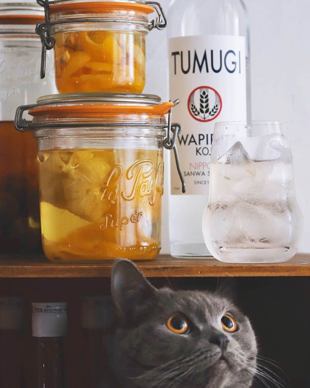 樋口正樹さんのインスタグラム写真 - (樋口正樹Instagram)「Yuzu TUMUGI . 年始に仕込んだ柚子酒。 ベースの酒はツムギで、 ２週間ほどで飲み頃に。 少し氷砂糖を加えてて ほんのり甘く美味しい。 他にもいろんな果実を ツムギに仕込んだので、 飲み頃になりましたら また紹介いたしますー。 👉@wapirits.tumugi . . ちなみに、 漬け込み用の保存瓶に 使ってるルパルフェの ゴムのパッキンですが、 映画スターウォーズの ドロイドのＢＢー８の パーツとたぶん同じだ。 👉@leparfait_jp . . #TUMUGI #柚子酒 #ゆず酒 #果実酒 #果実酒作り #インフュージョン #仕込み #ルパルフェ #保存瓶 #wapiritsTUMUGI #wapirits #Kojisour #Cozysour #三和酒類 #ミクソロジー #スピリッツ #和ピリッツ #大分 #宇佐 #mixologyart #madeinjapan #mixology #cocktail #mixologyst #madeincocktails #infusion #leparfait_jp #leparfait #bb8」1月27日 15時48分 - higuccini