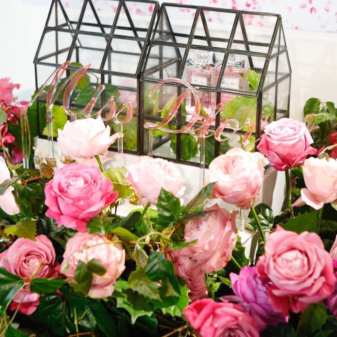 Yoshiko Kris-Webb クリス-ウェブ佳子さんのインスタグラム写真 - (Yoshiko Kris-Webb クリス-ウェブ佳子Instagram)「@diorparfums ROSE ’N ROSES @dior を代表するフレグランス #ミスディオール から1月24日(金)に発売されたROSE ’N ROSES。朝露に咲きほこる束の間の薔薇の美しさを表現した儚くも力強い香り。前より大人にグレードアップされた香りでした。聞香と利酒が得意です✨」1月27日 15時50分 - tokyodame