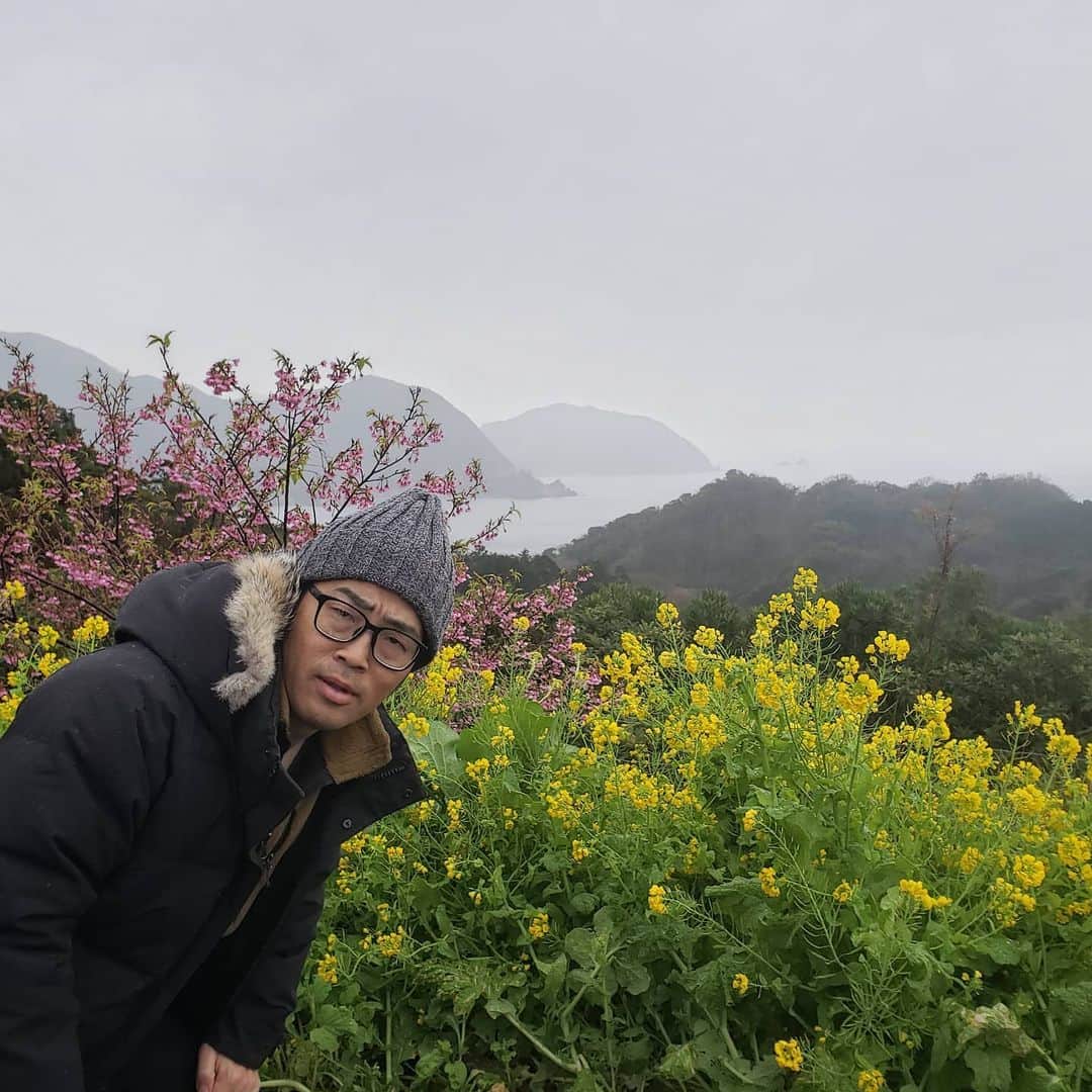 鈴木拓さんのインスタグラム写真 - (鈴木拓Instagram)「まだ冬なのに土肥桜は咲いてた。  菜の花と一緒に。  にしても花の似合わない男だ。」1月27日 16時15分 - suzukitaku.drunkdoragon