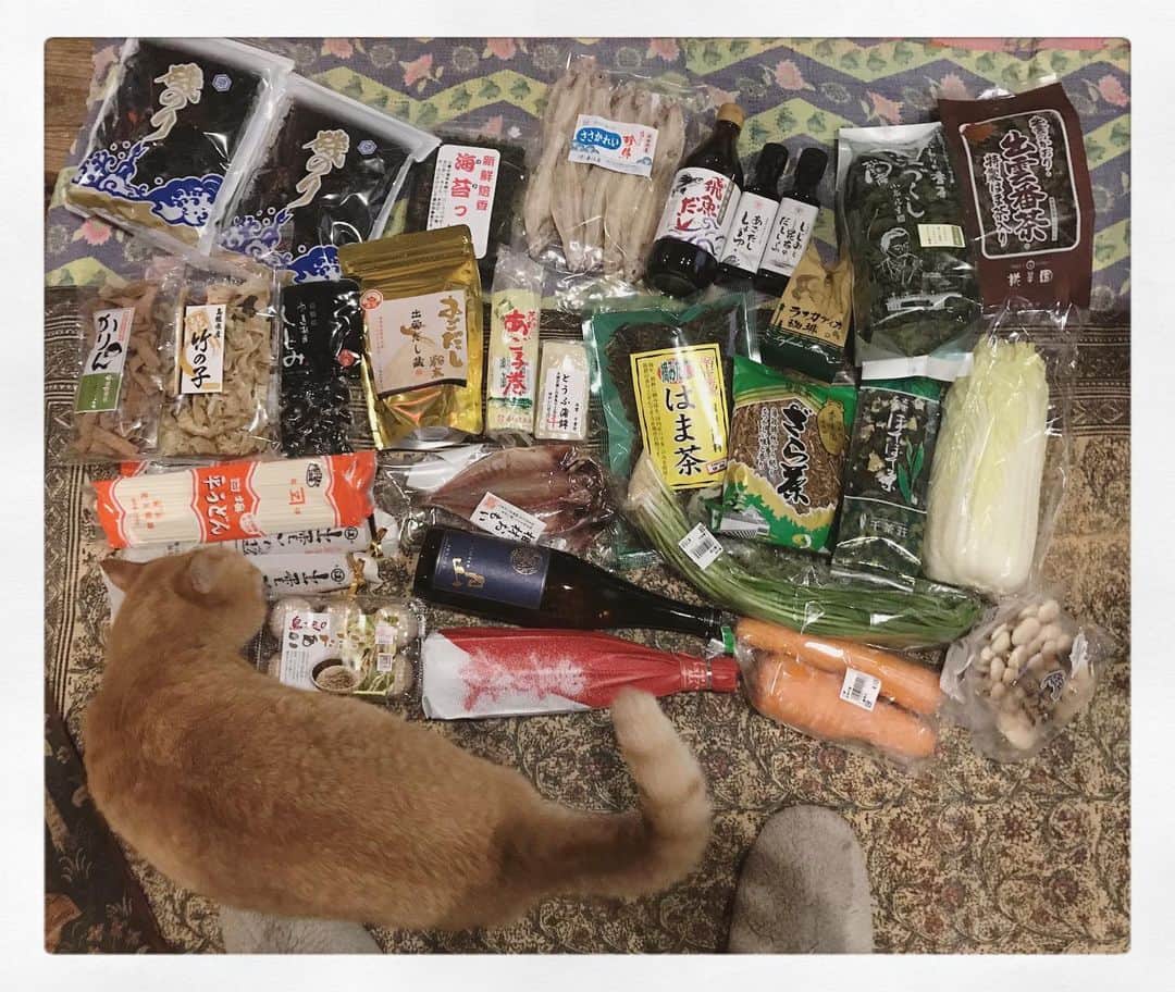 松本野々歩のインスタグラム：「松江の美味しいもの情報くれた皆さんありがとうございました🙏  意外とタイトなスケジュールで どこにも行けなかったのです  帰りに駆け足で行った松江物産展 好きなものがたくさんあって見足りなかったけど 収穫あり！！ ・ ・ 化学調味料入っているものは基本 棚にそっと戻す （入ってないものを探す方が実は大変）  #変わったお茶が好き #海苔がとにかく好き」