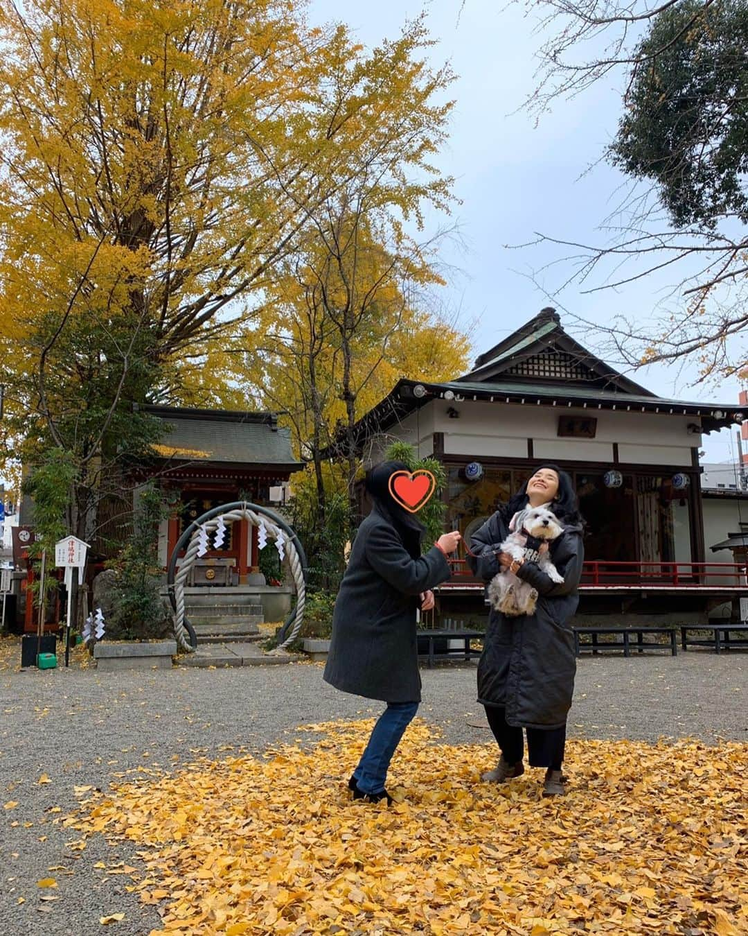 石田ひかりさんのインスタグラム写真 - (石田ひかりInstagram)「スカッとジャパン 今夜 20時オンエアです！ みなさまスカッとしてくださいませ❣️ ロケは寒い日だったのですが 高校時代からとびきり優しかった同級生が わんこちゃん（くるみちゃん）連れて 遊びに来てくれました😆 #スカッとジャパン」1月27日 16時45分 - hikaringo0525