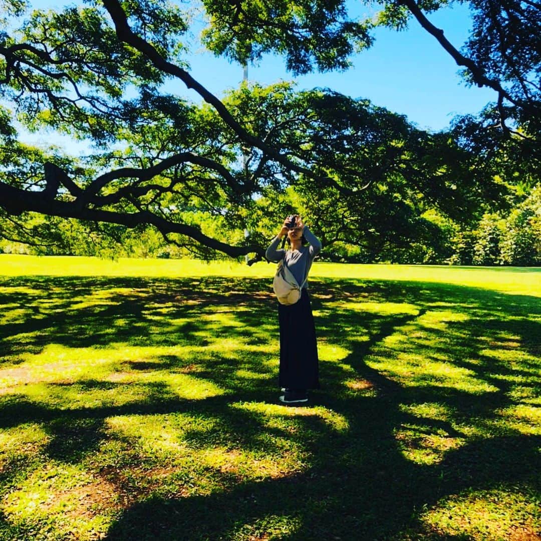緒月遠麻さんのインスタグラム写真 - (緒月遠麻Instagram)「☺︎ 木の枝が血管に見えるなぁ~🤔 #木も生きているんだなぁ  #🌴🌳🌲 見知らぬ家族の写真撮ってる オヅキの写真添えて。  #写真撮りましょうかおばさん ⇧ こんなハッシュタグ出てきたー。  それ私ね。笑  #👩🏻 🤳」1月27日 16時49分 - toma_ozuki