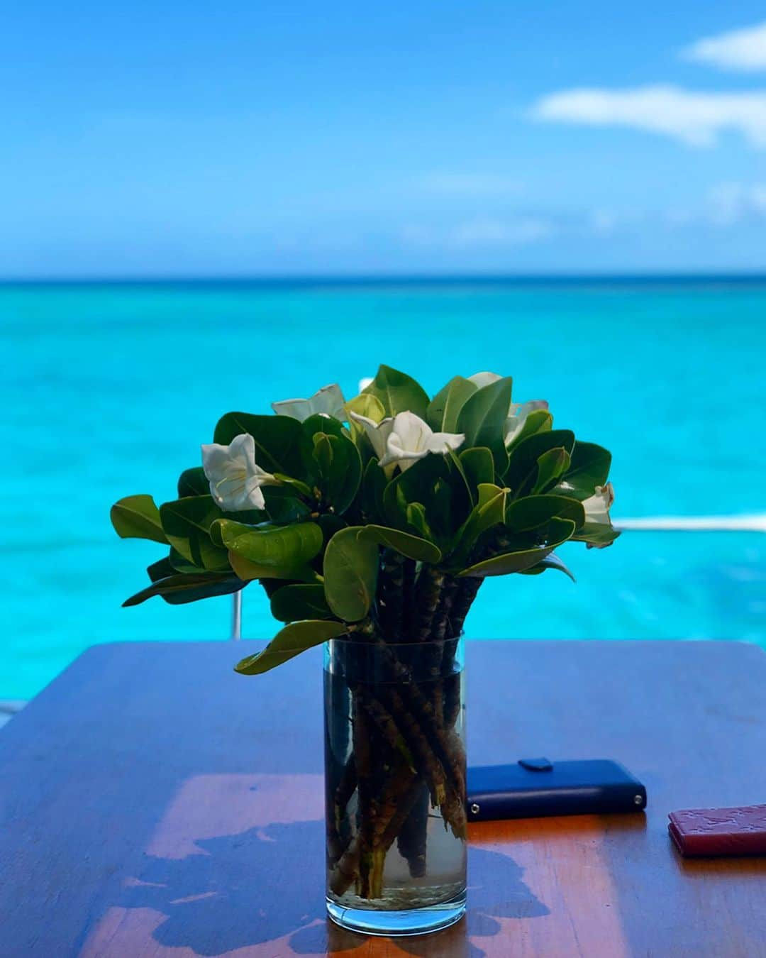 中川友里さんのインスタグラム写真 - (中川友里Instagram)「cruising tour 🛥⛵️🛳 this is huge lobster island👉 ile Moro ・ 日本表記はモーオ島でした☺️🥰秘密の島過ぎて検索しても出ない🤣🤣‼️ 熱い島もニューカレドニア🇳🇨だとみんなbig smileで幸せいっぱい☺️🥰お魚シュノーケル🤿も綺麗な子ばっかり😍🥰(もちろん泳げないのでライフジャケット付きw)  @newcaledoniatourismjapan  @aircalin  @lemeridiennoumea  #エアカラン #ニューカレドニア観光局公式アカウント #天国に一番近い島 #newcaledonia #aircalin #ヌメア #イルデパン」1月27日 17時15分 - darayunya